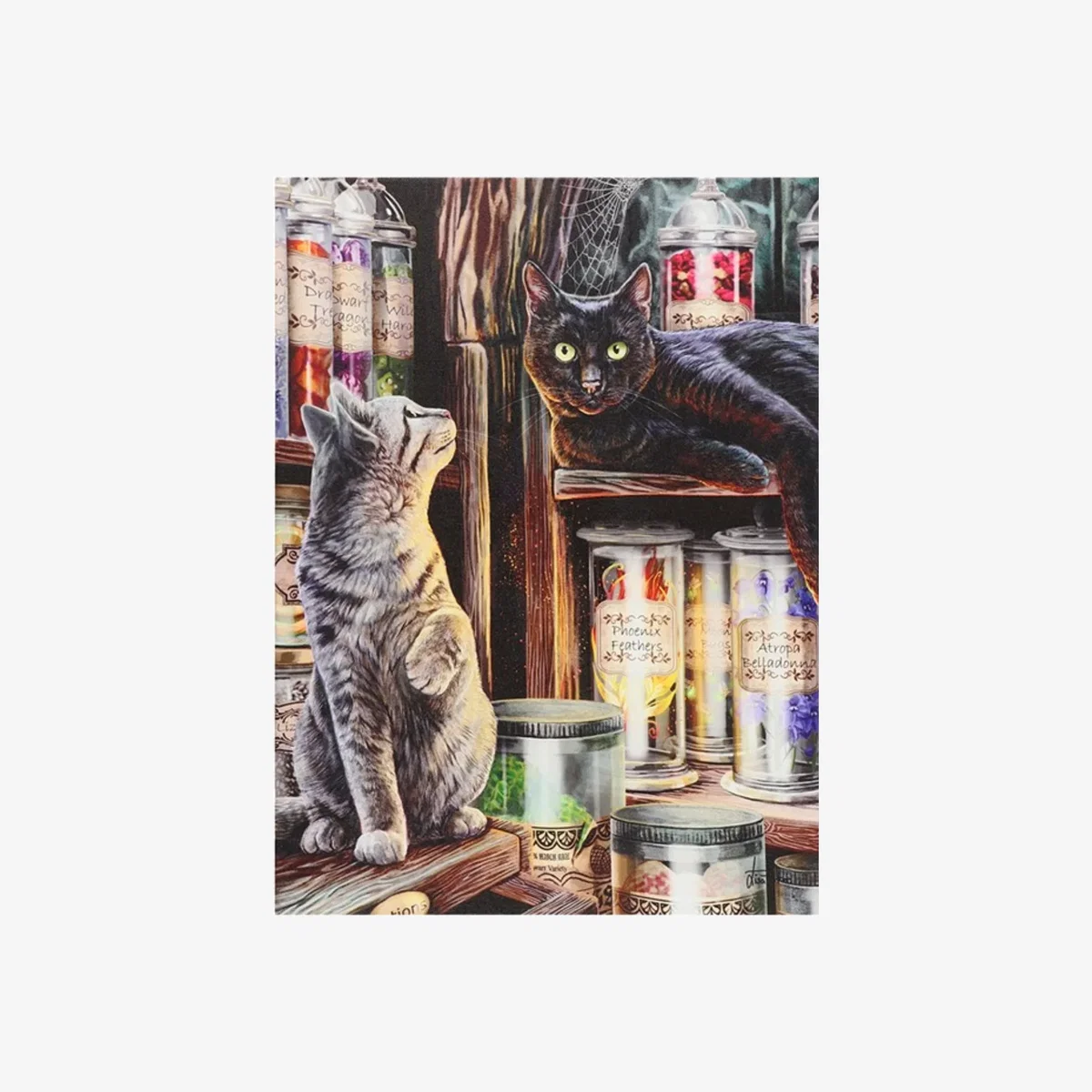 Magical Emporium 19x25 Canvas Wall Plaque - Brown