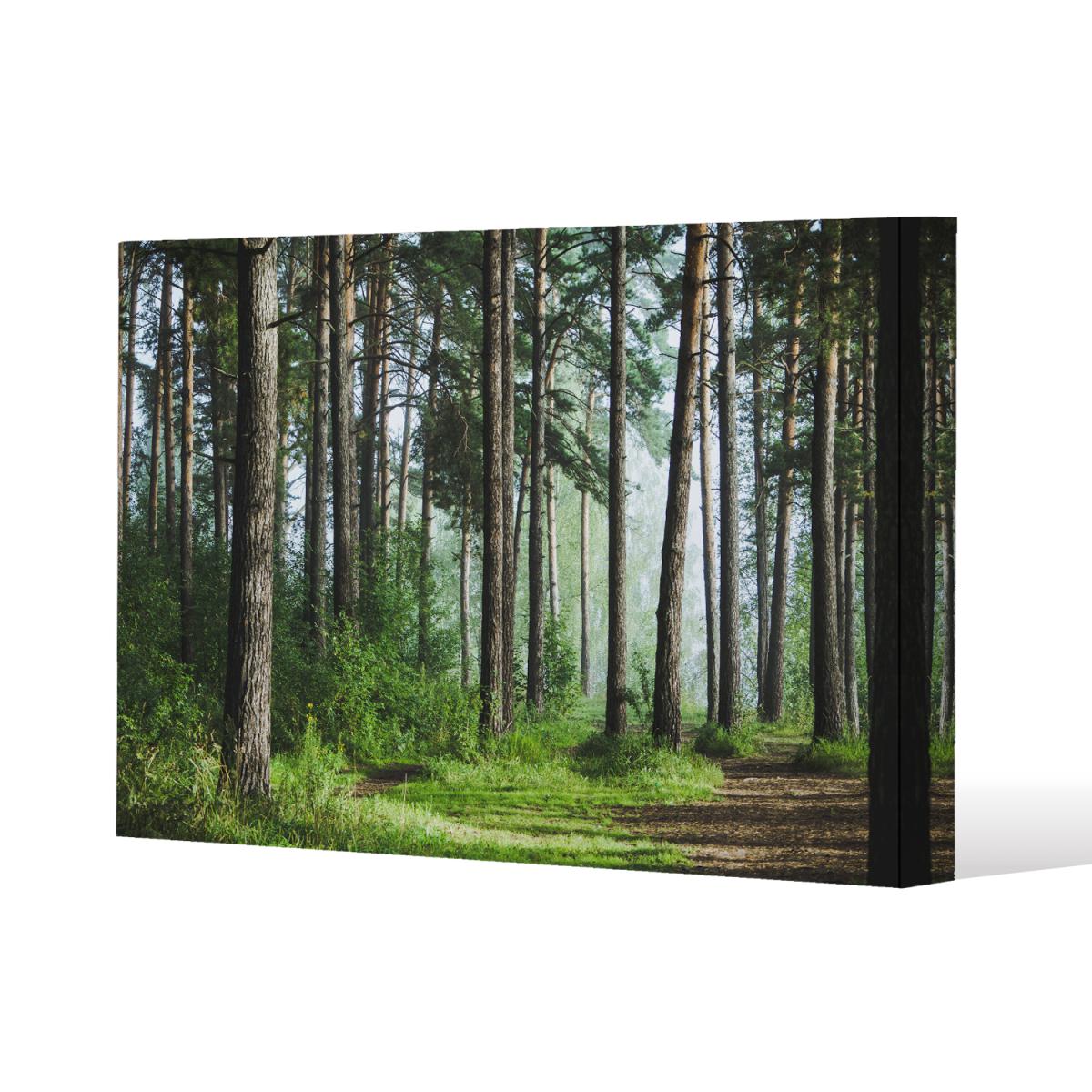 Beautiful summer forest with different trees Canvas Print - Green / 127cm / 101cm – image 2