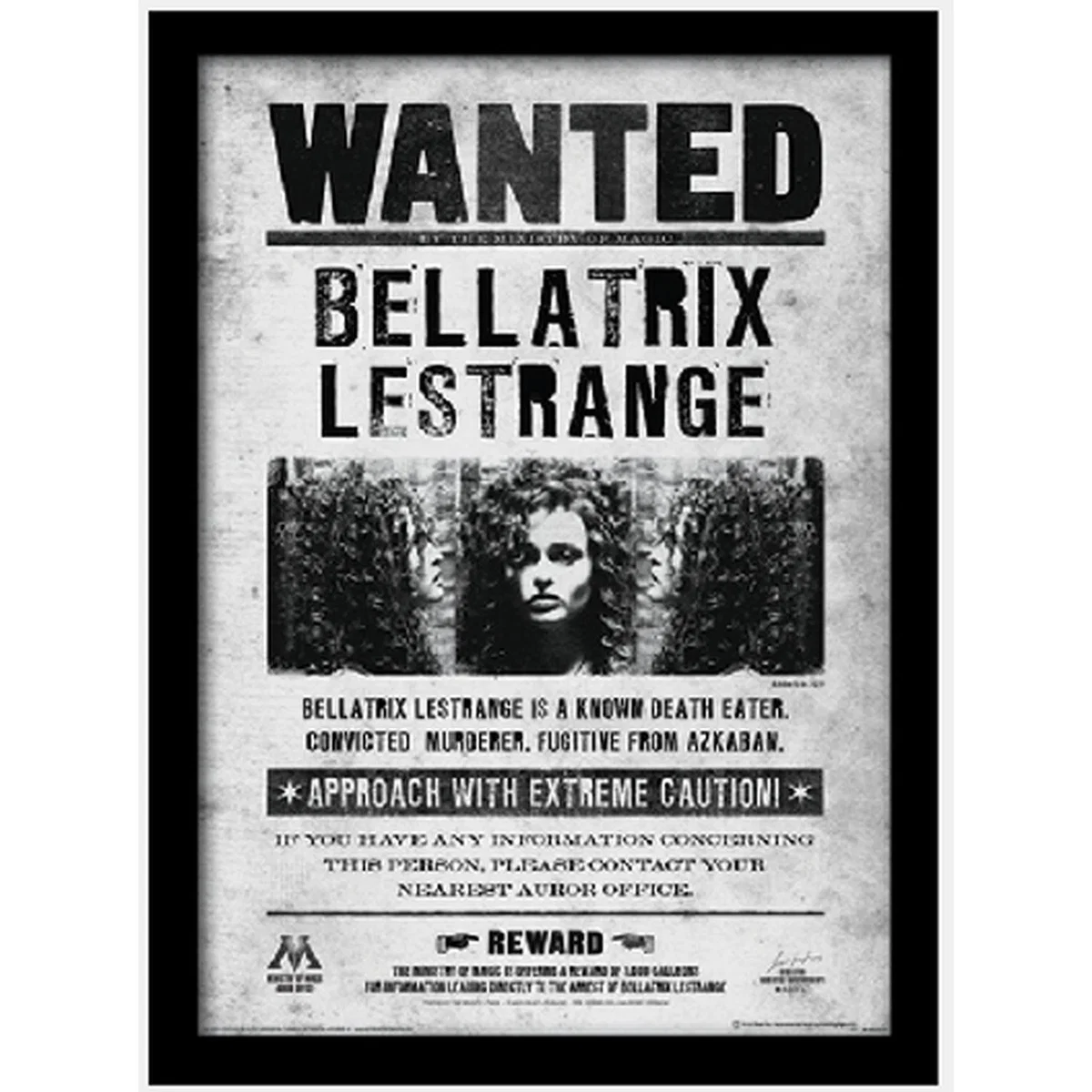 Harry Potter (Bellatrix Wanted) Framed Print – image 2