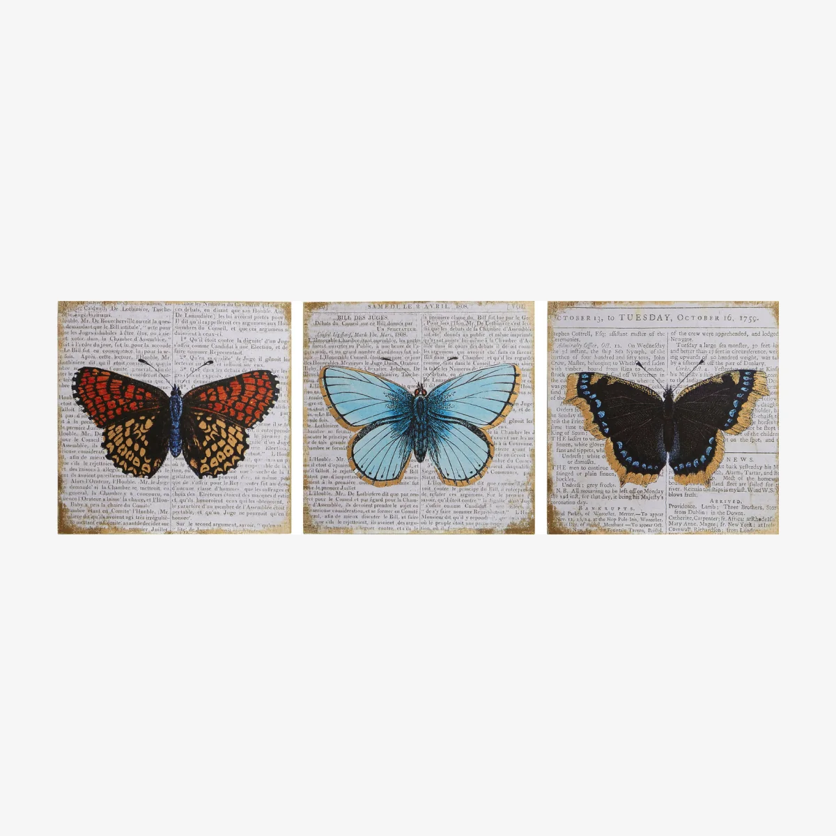 Madera Butterfly Wall Plaque - Set of 3 - Assorted