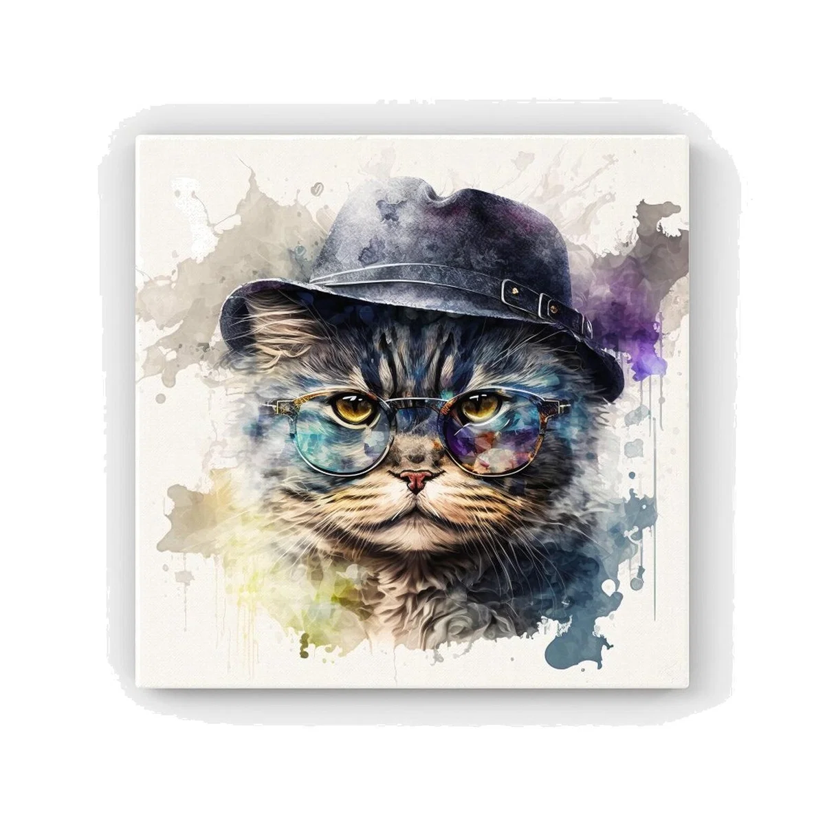 Selkirk Rex Cat Splashart HD Metal Print - Neutral / 30cm