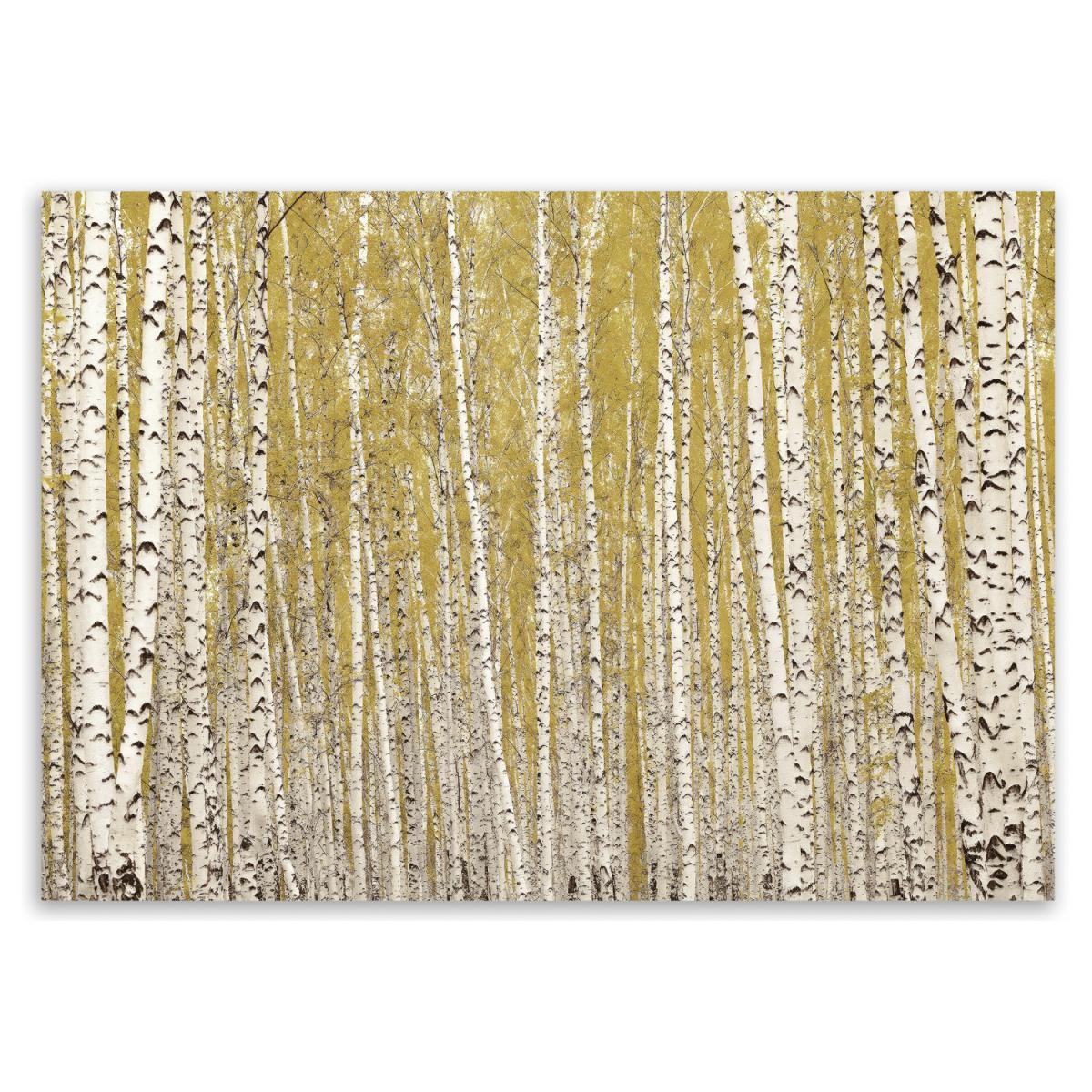 Silver Birches Canvas – image 2