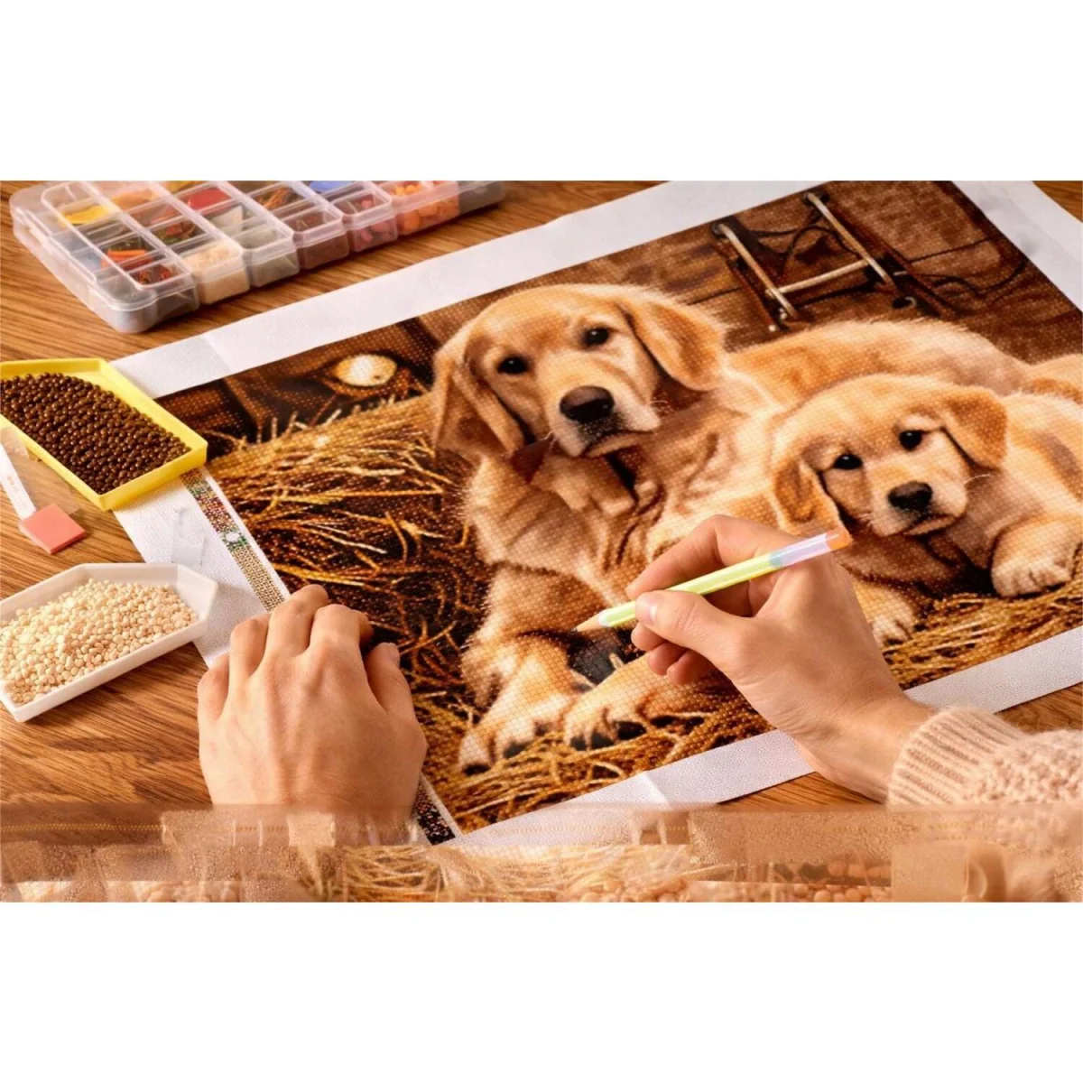 Golden Retriever and Pup Diamond Painting Kit - Multi – image 7
