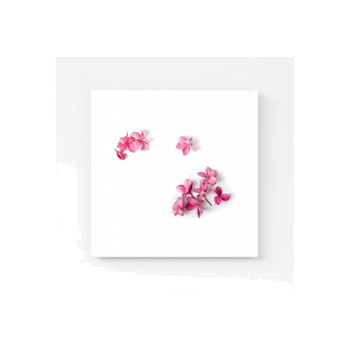 Pink Frangipani Flowers Canvas Print - Pink / Medium – image 1