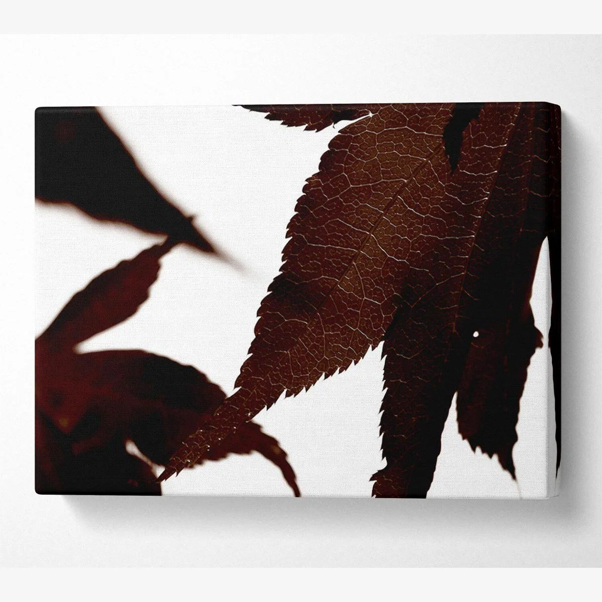 Brown Autumn Leaf Canvas Print Wall Art - Yellow / 35.56cm – image 1