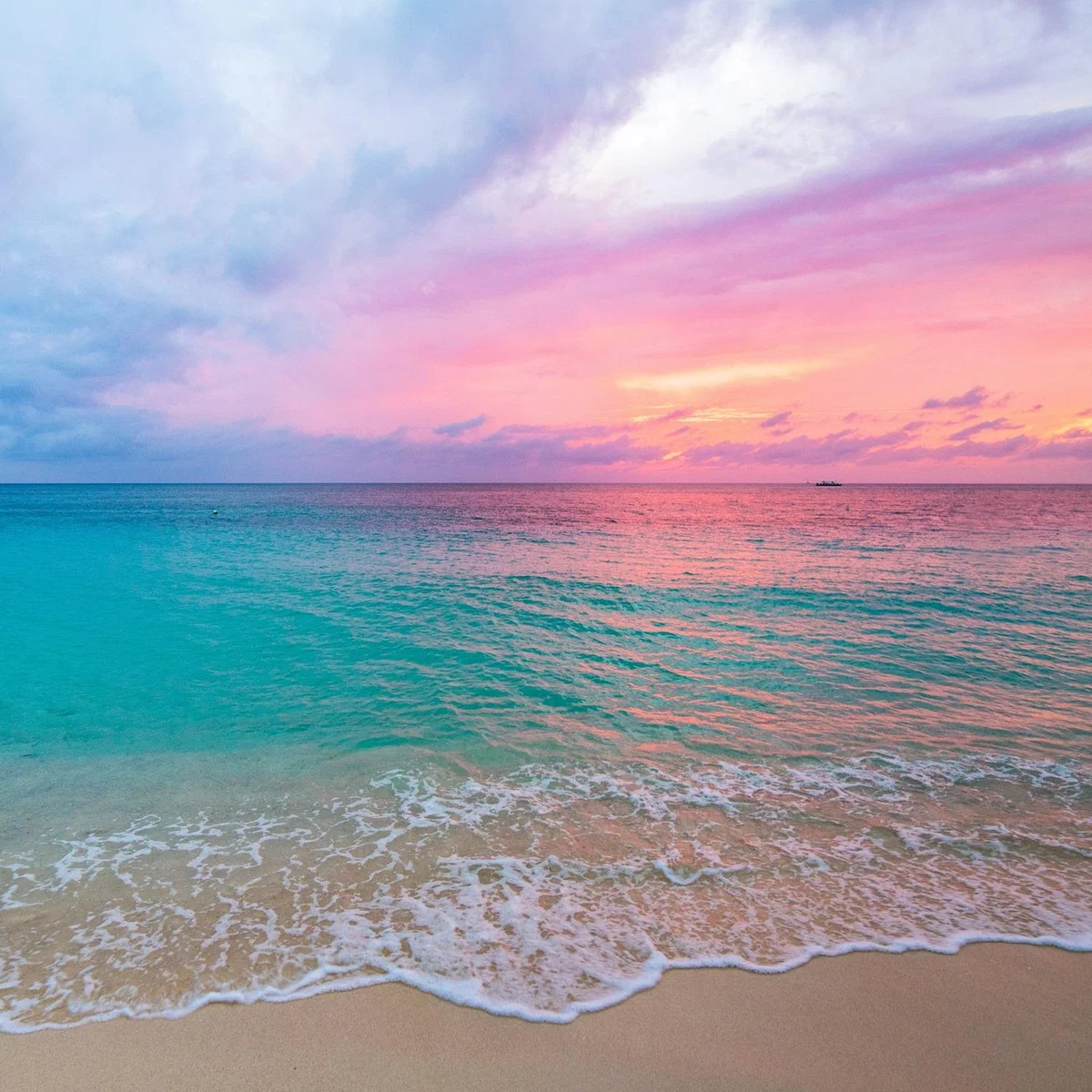 Tropical Sunset Beach Canvas - Blue – image 1
