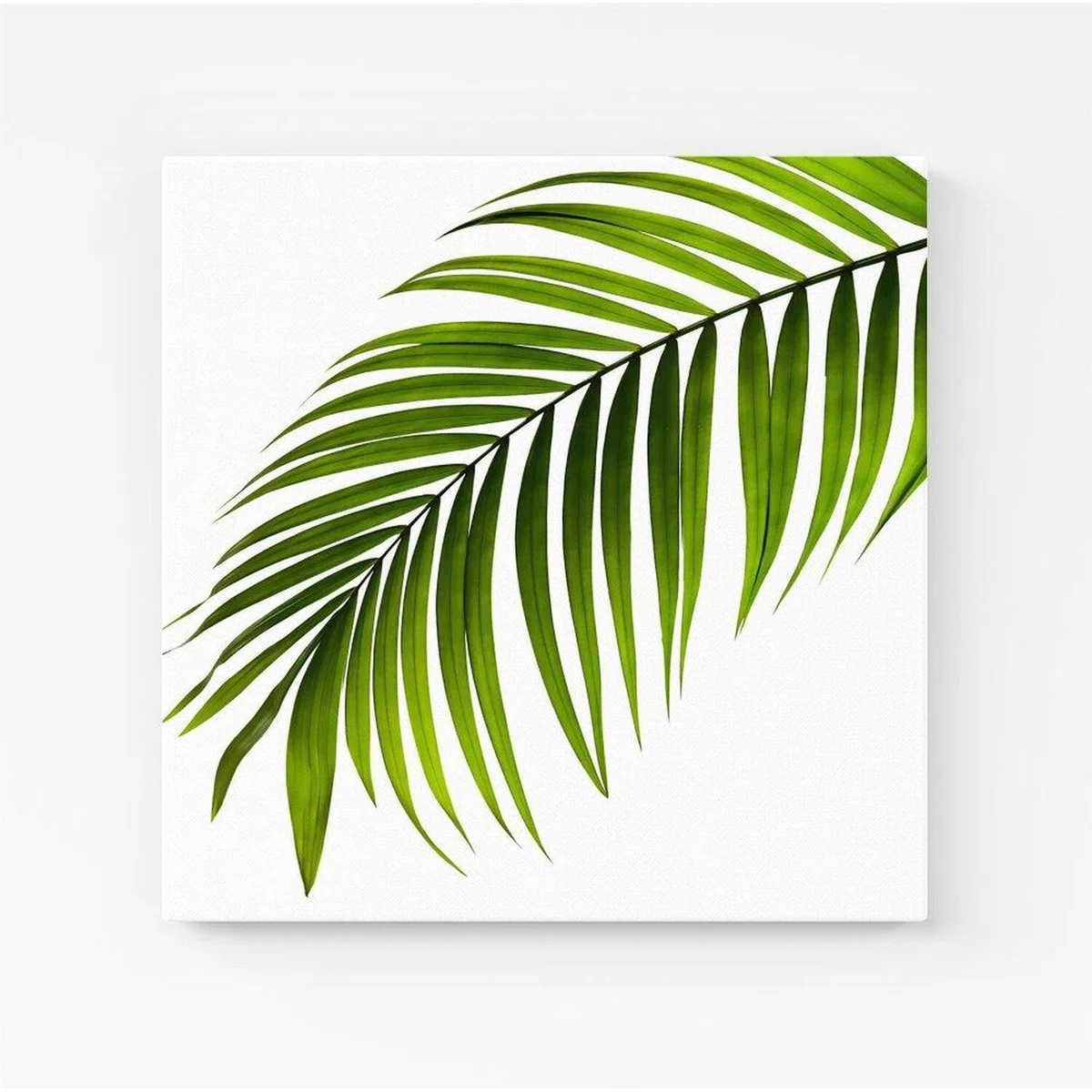 Single Palm Leaf Canvas Print - Green / Medium – image 4