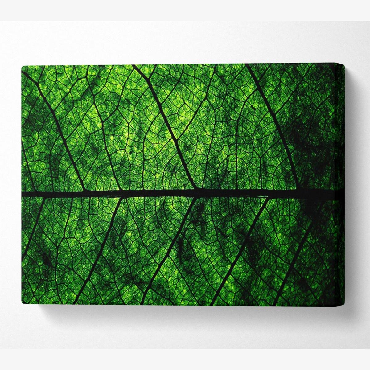 Leaf Veins Canvas Print Wall Art - Yellow / 66.04cm – image 1