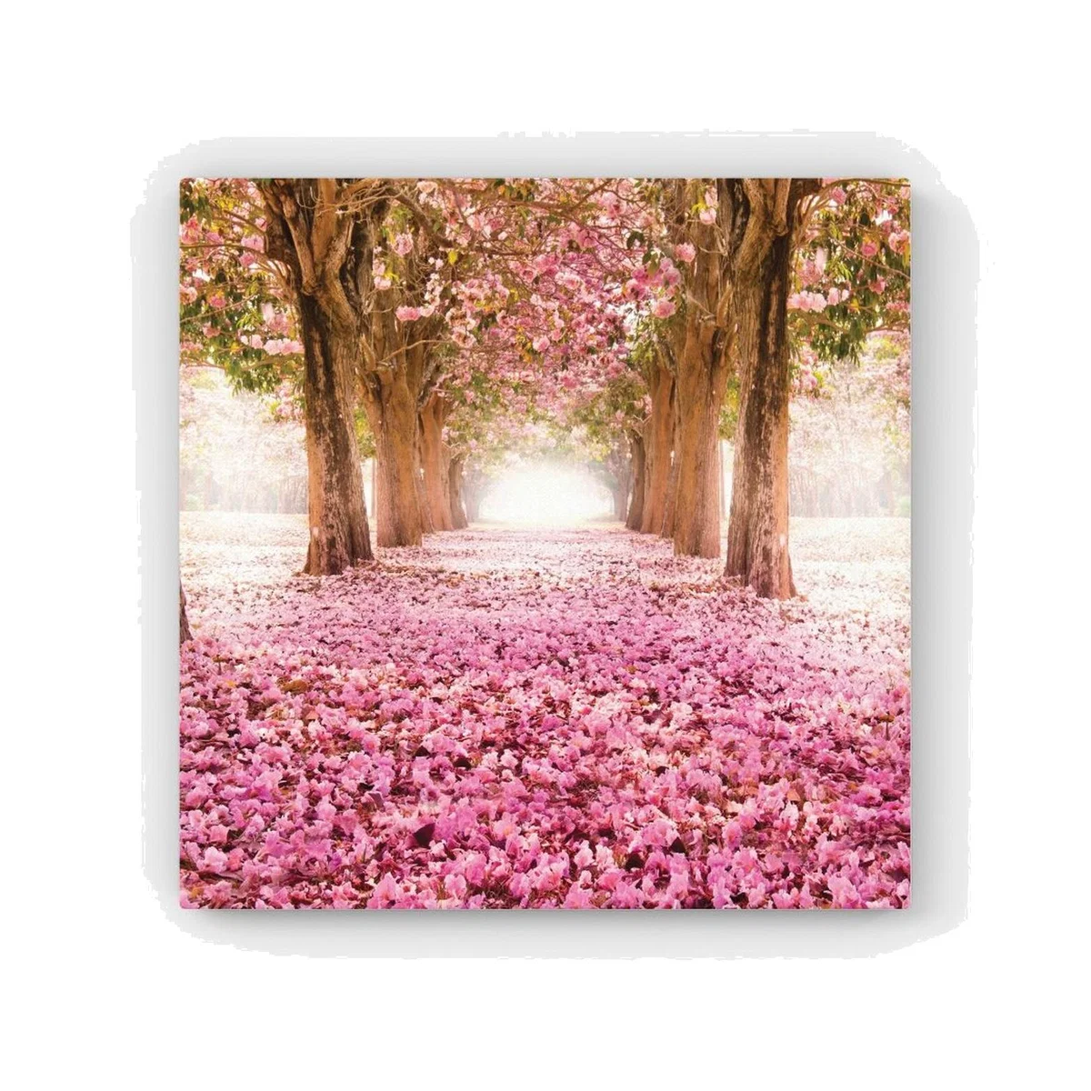 Pink Flower Tree Tunnel HD Metal Print - Pink / 30cm