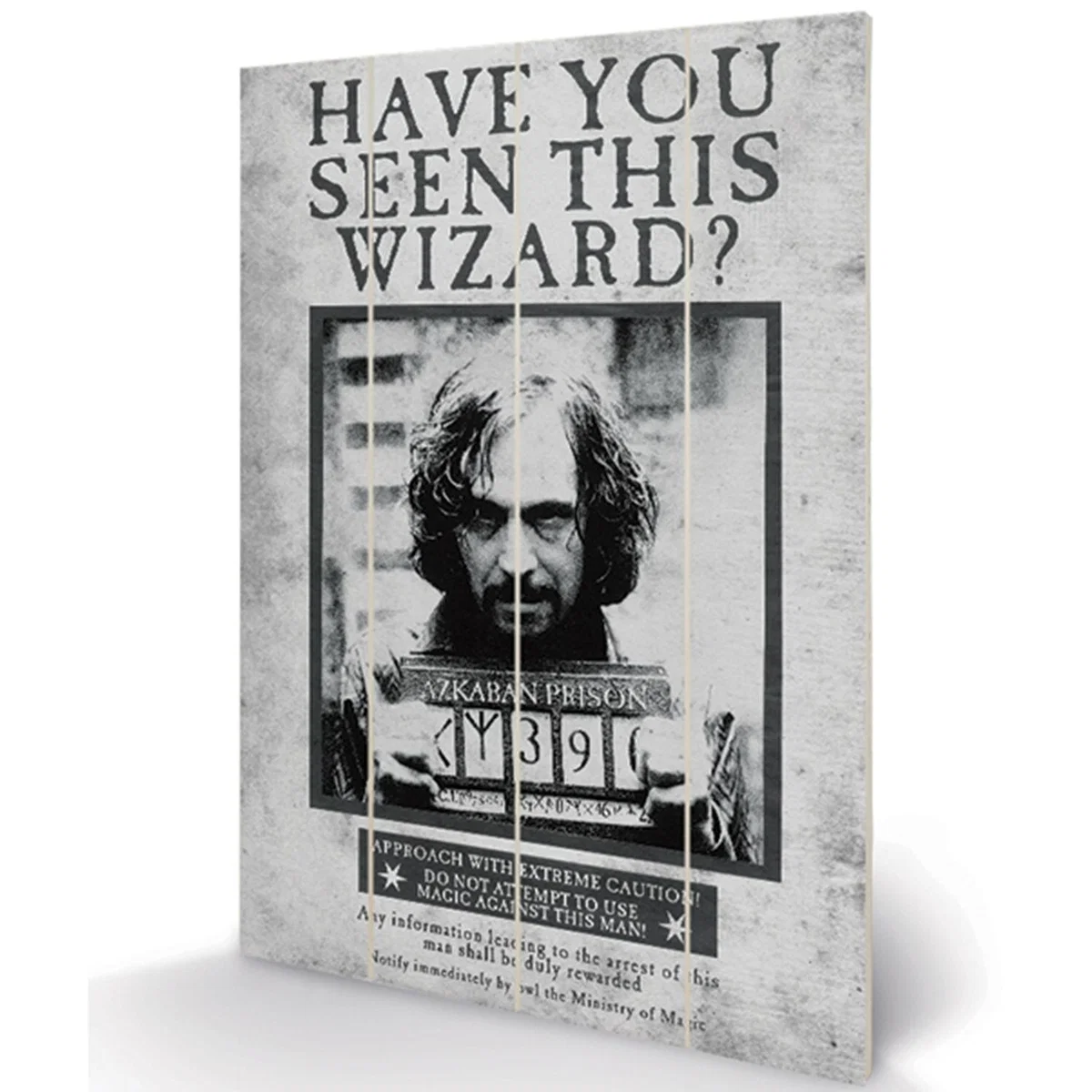 Harry Potter (Sirius Wanted) Wall Art – image 2