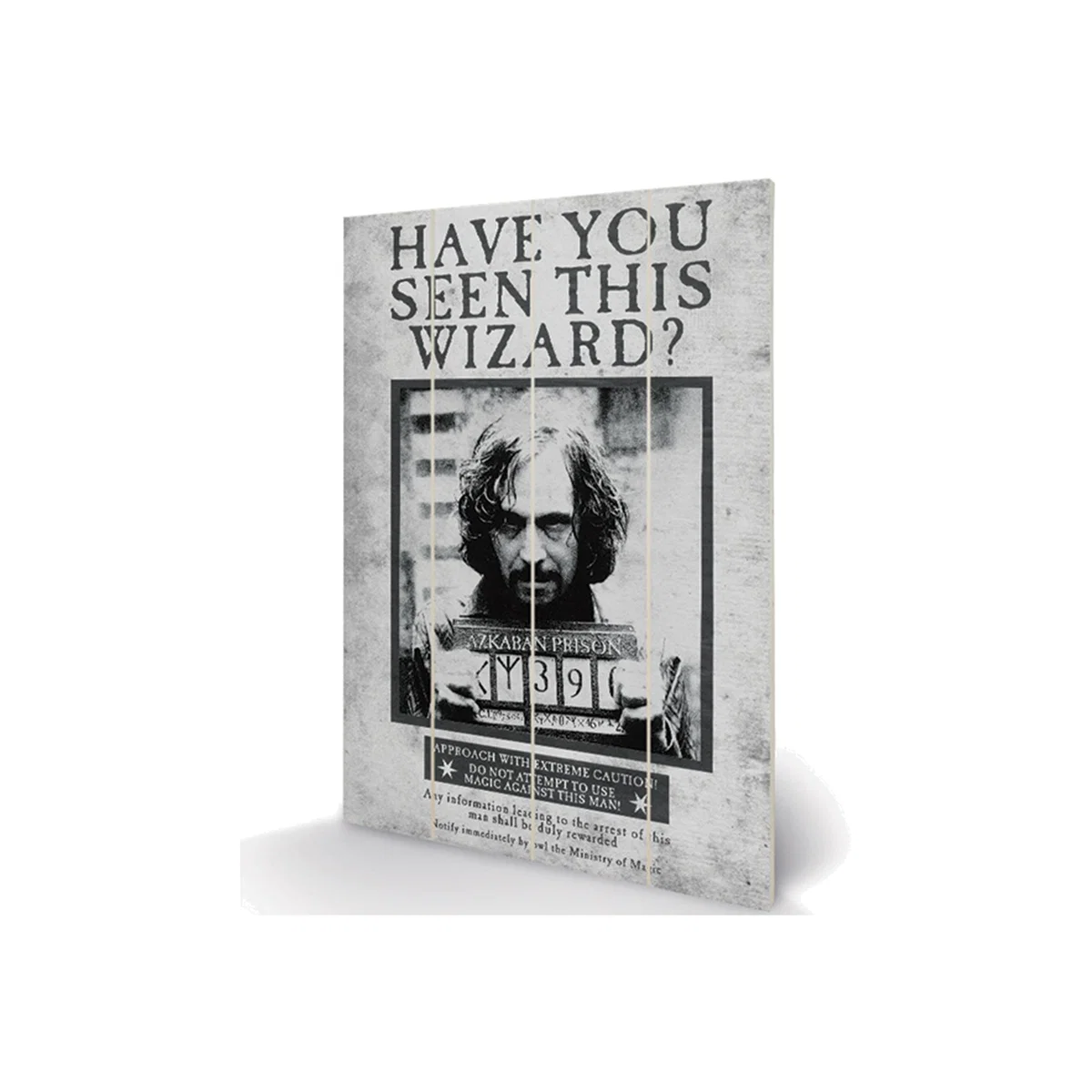 Harry Potter (Sirius Wanted) Wall Art – image 1