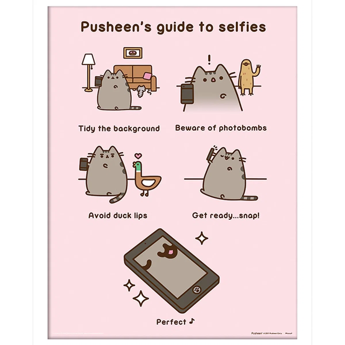 Pusheen (Guide to Selfies) Framed Print – image 2