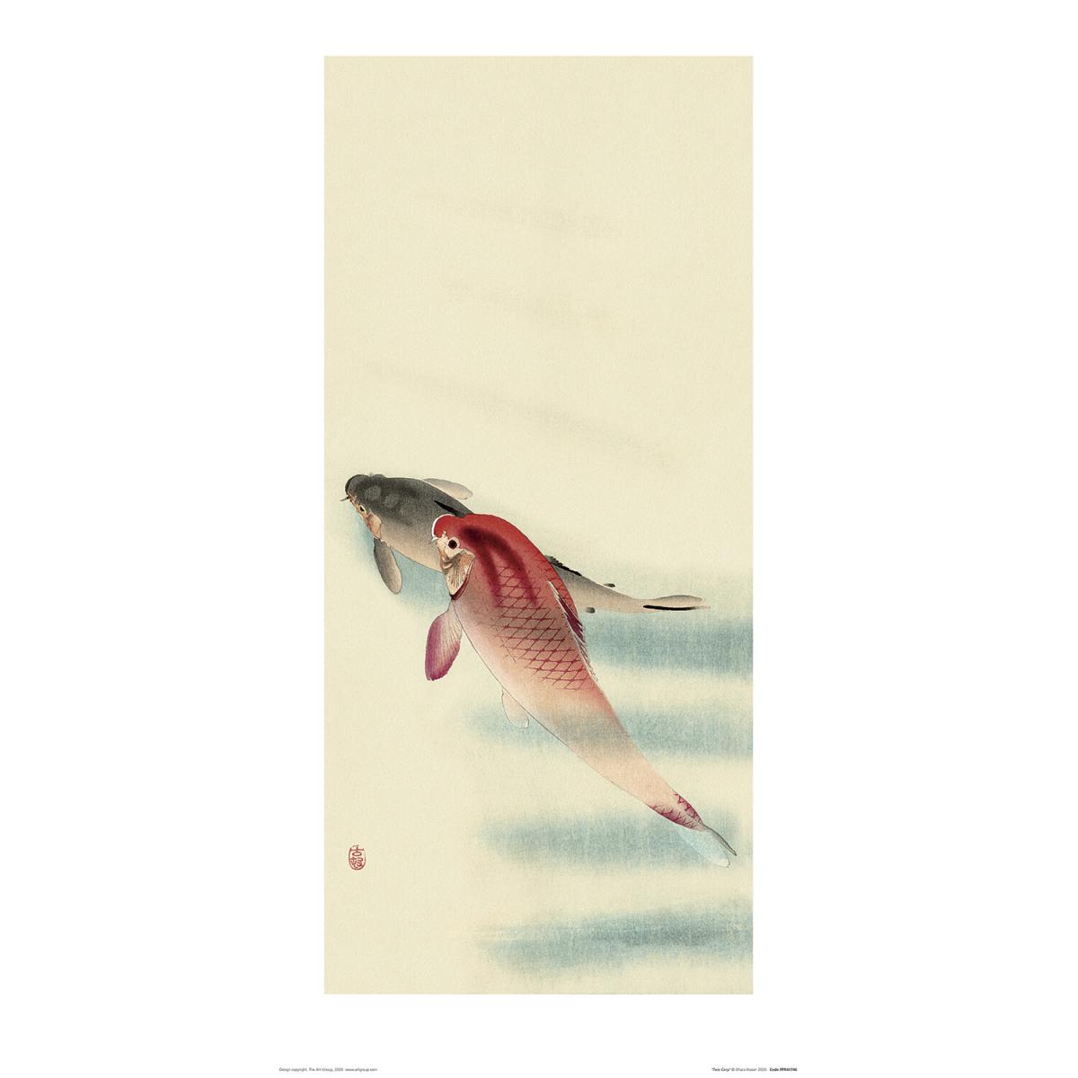 Ohara Kolson Two Carp or Two Veil Goldfish – image 2