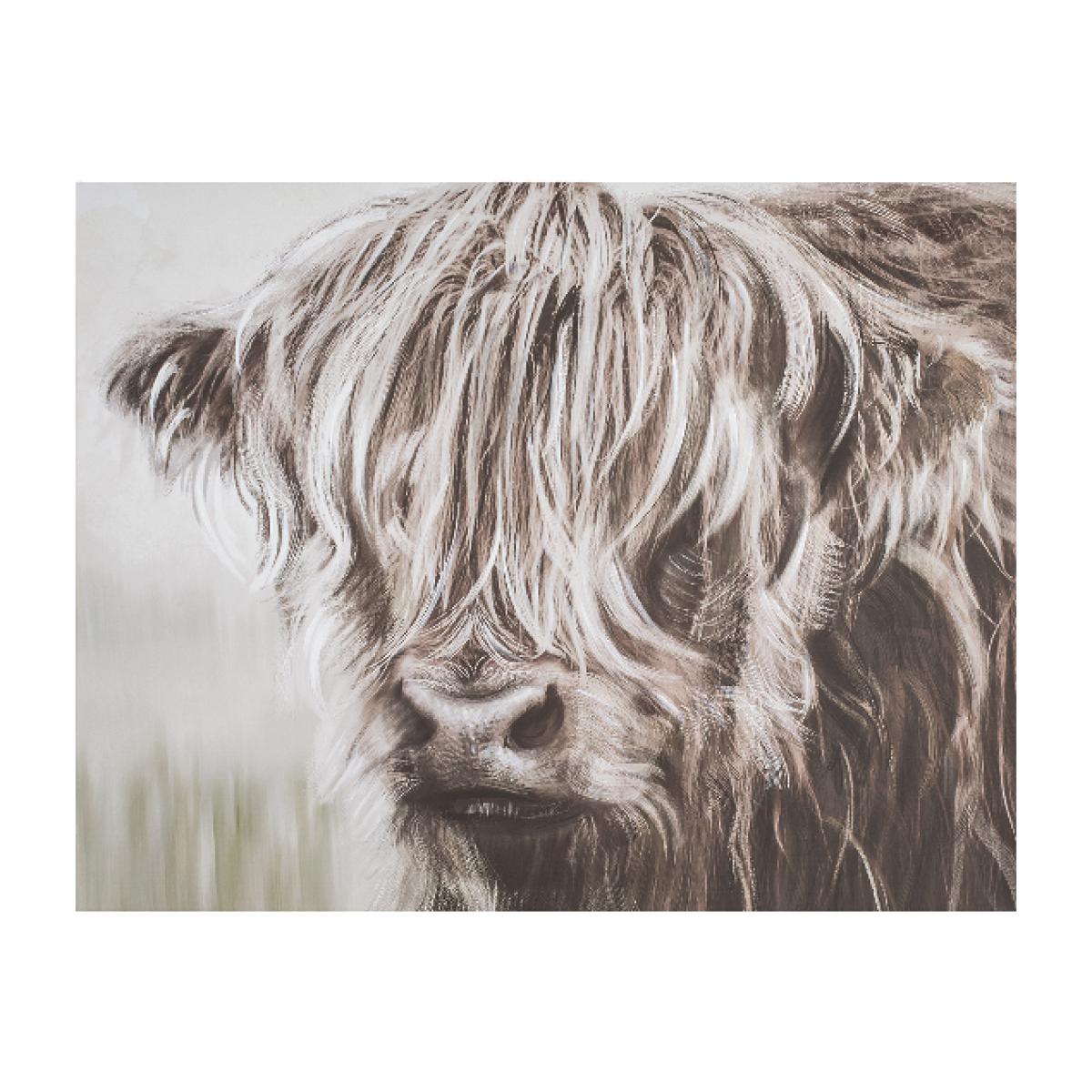 Highland Cow Canvas
