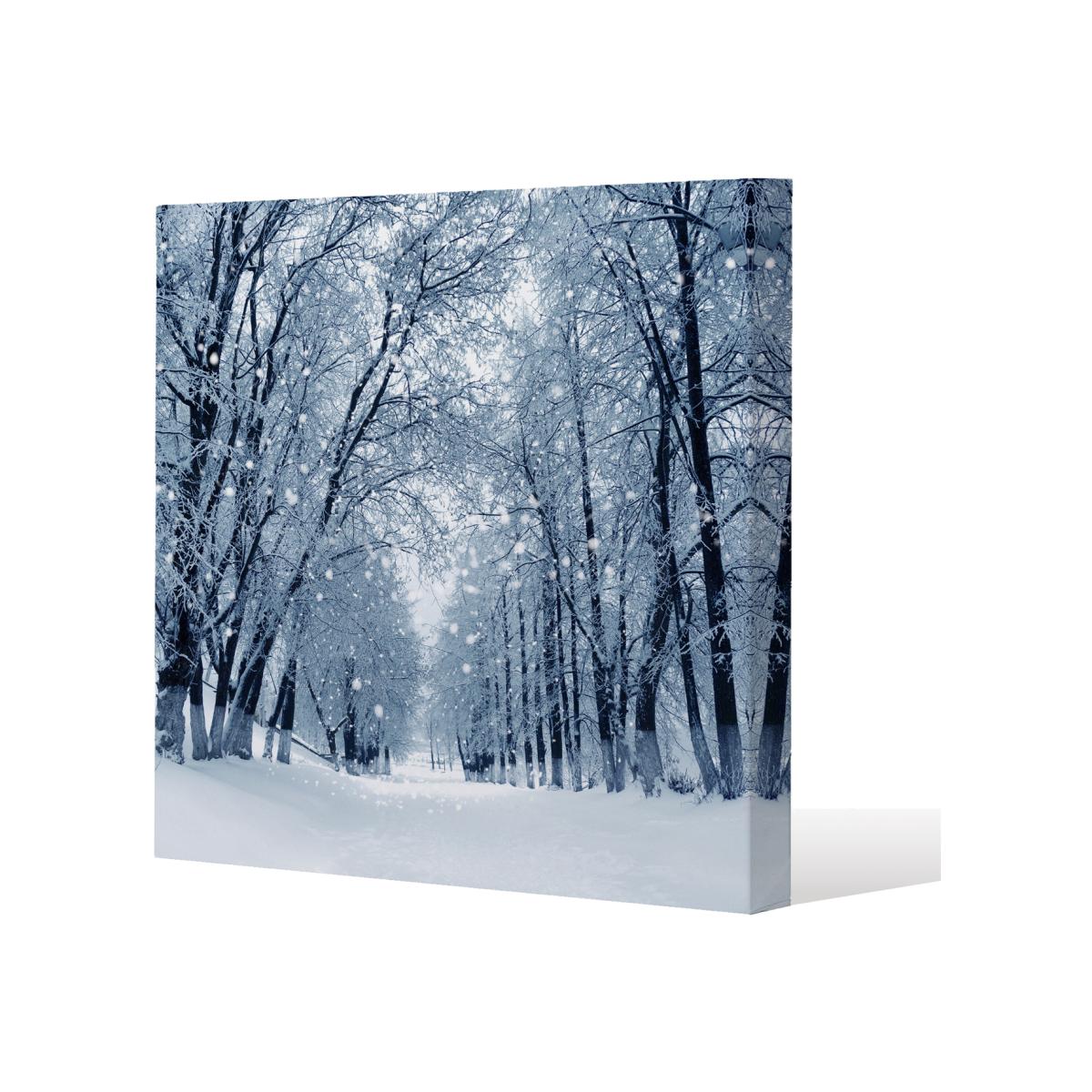 Snowstorm In Park Gallery Canvas - Blue / 61cm – image 1
