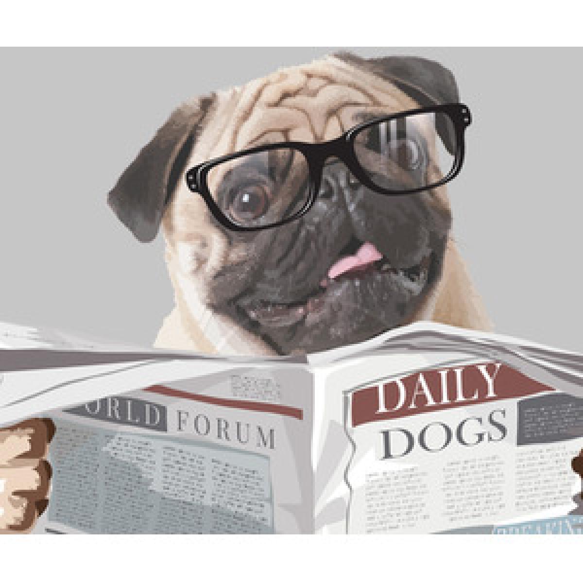 Pug on the Toilet Framed Wall Art Print - Black Frame – image 4