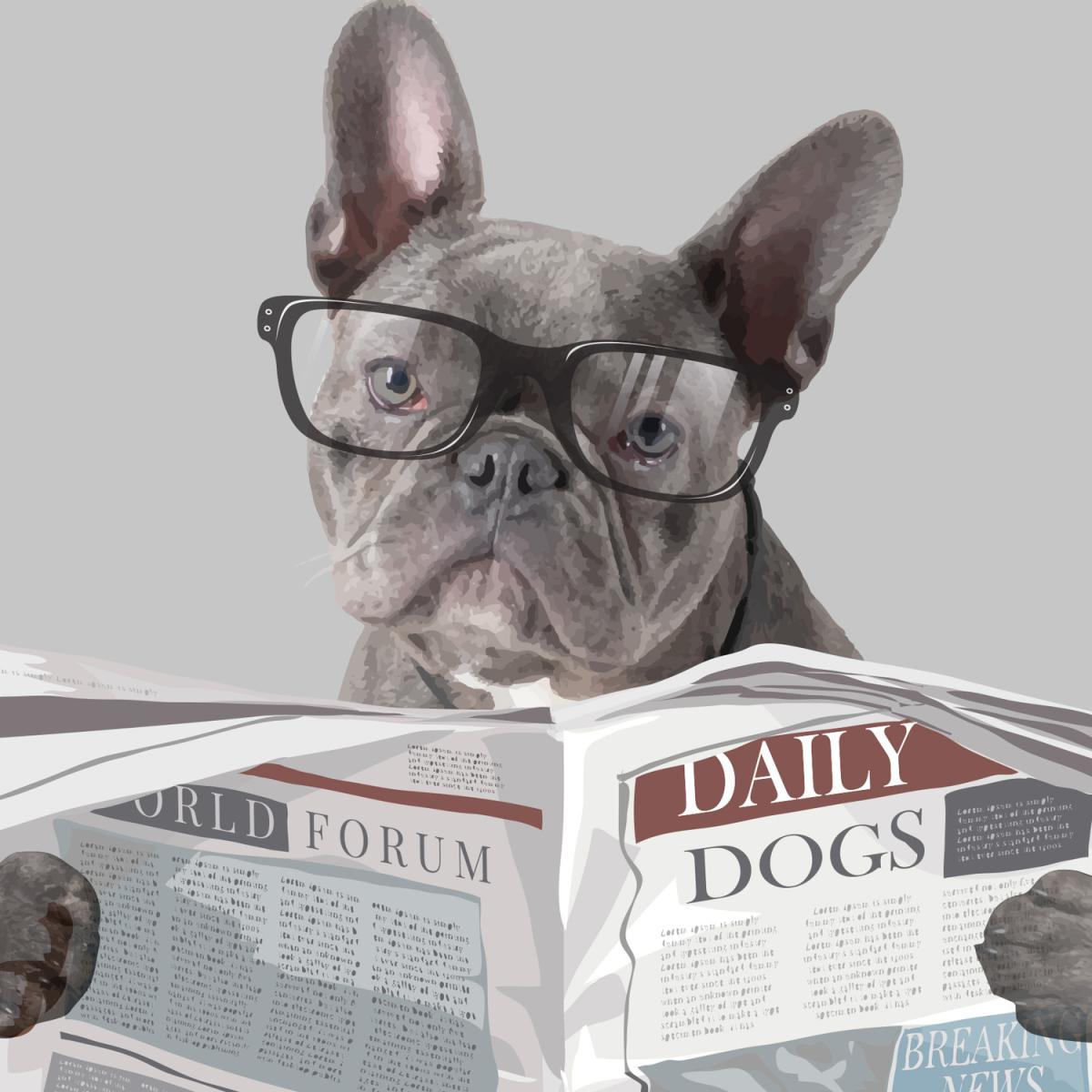 French Bulldog on the Toilet Framed Bathroom Wall Art Print - Black Frame - Black – image 2