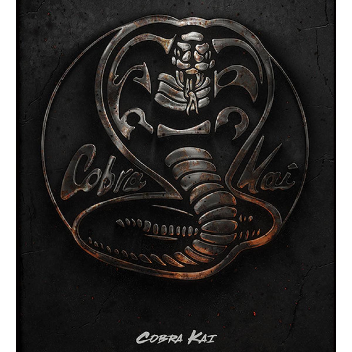 Cobra Kai (Metal) Framed Print