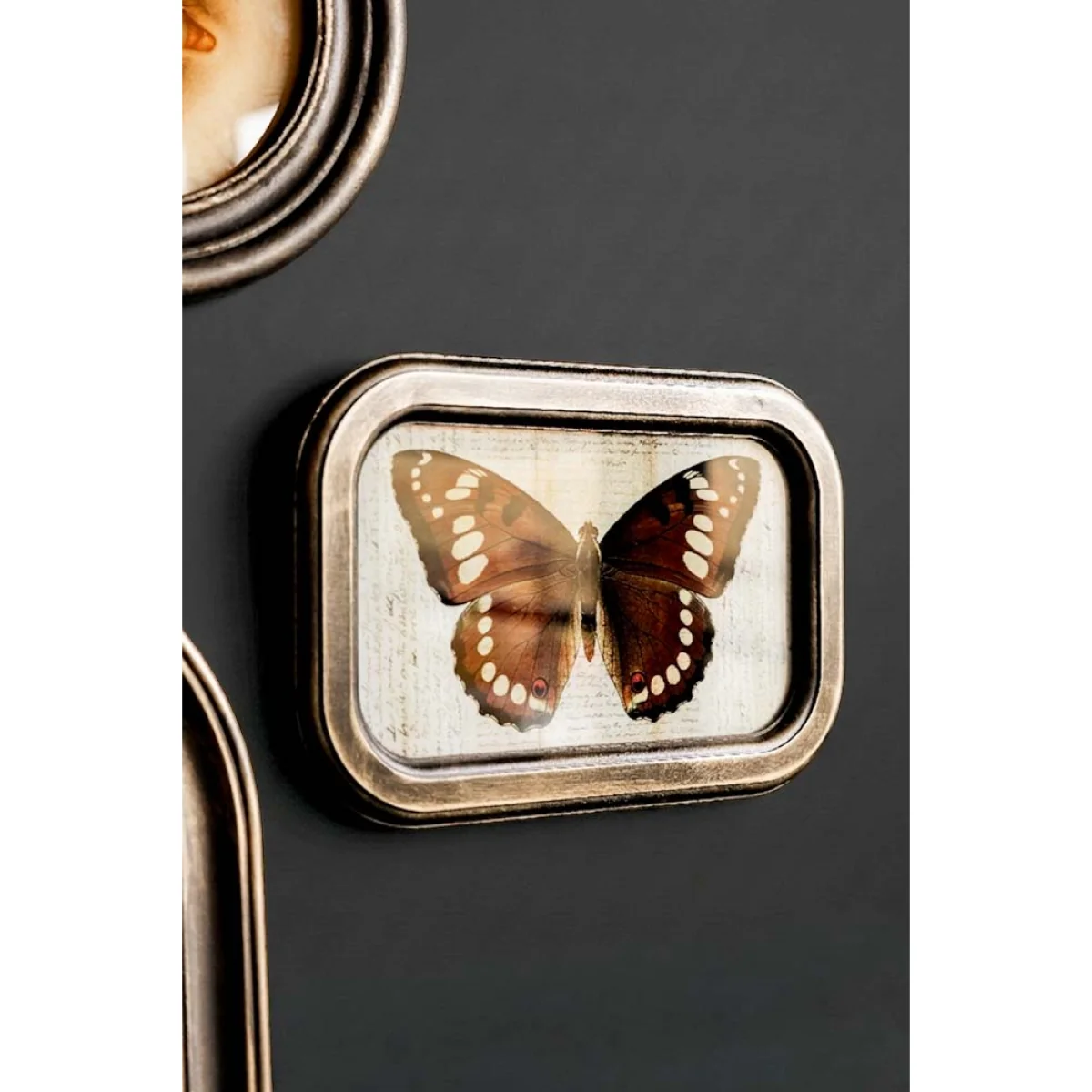 Vintage-Style Butterfly Framed Wall Art – image 3