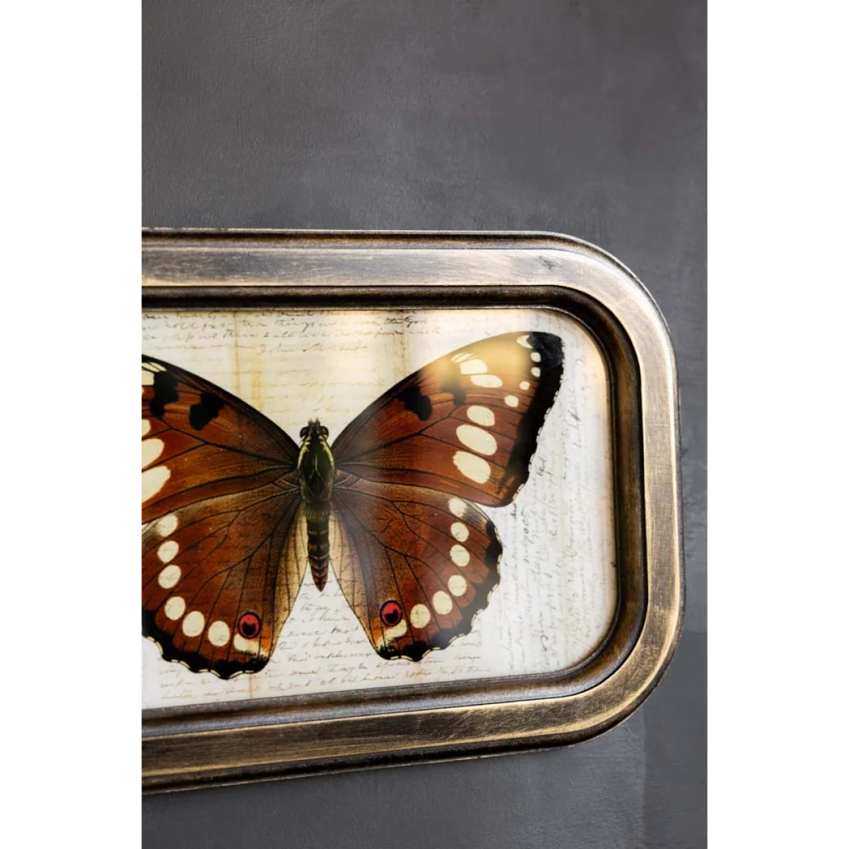 Vintage-Style Butterfly Framed Wall Art – image 4