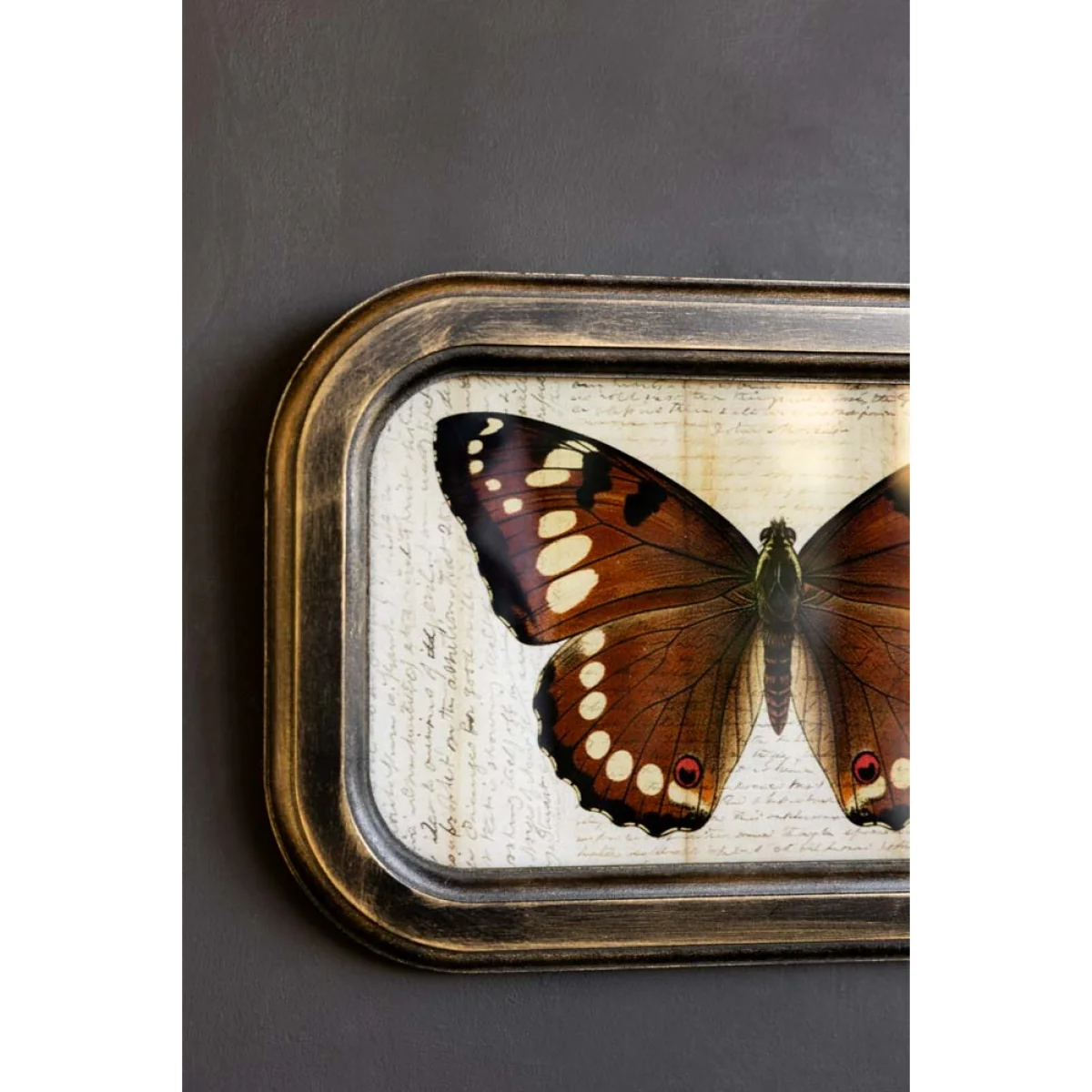 Vintage-Style Butterfly Framed Wall Art – image 5