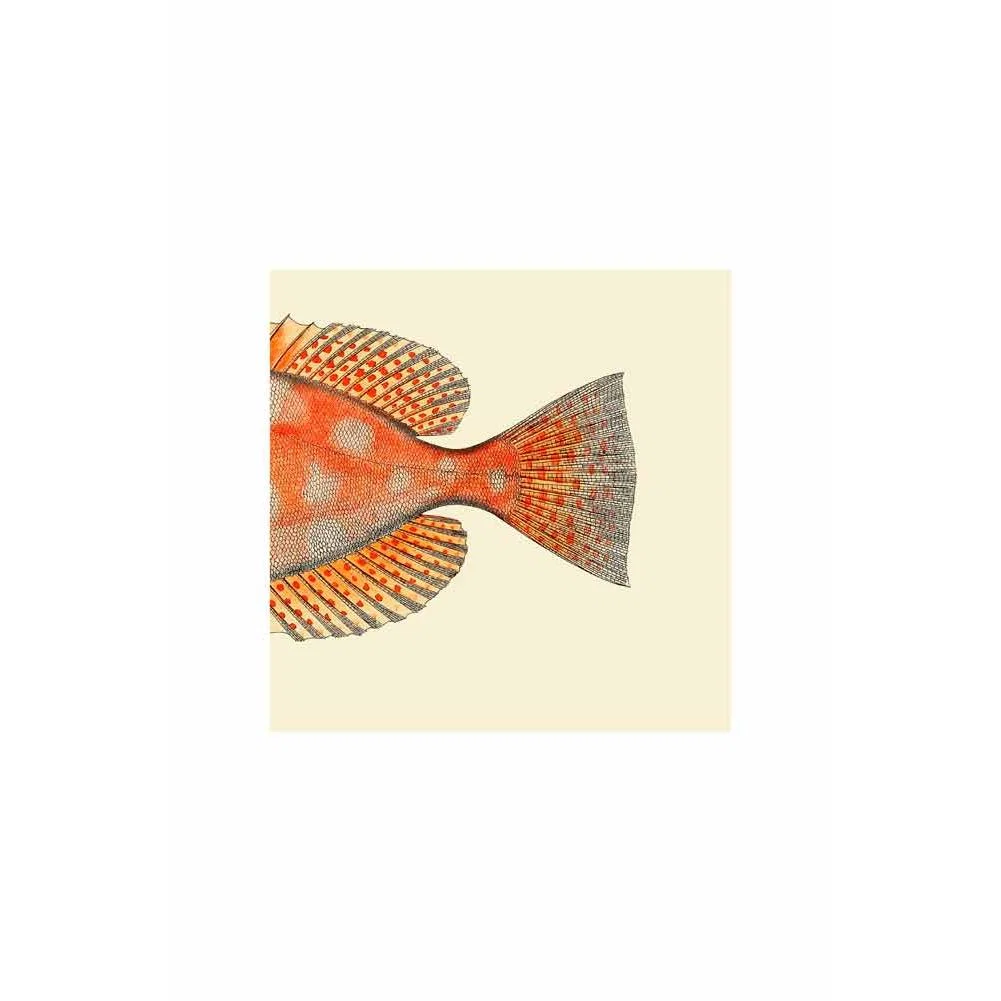 Oak Framed Spotted Orange Half Fish Head & Tail Art Prints - DISCONTINUED – image 2