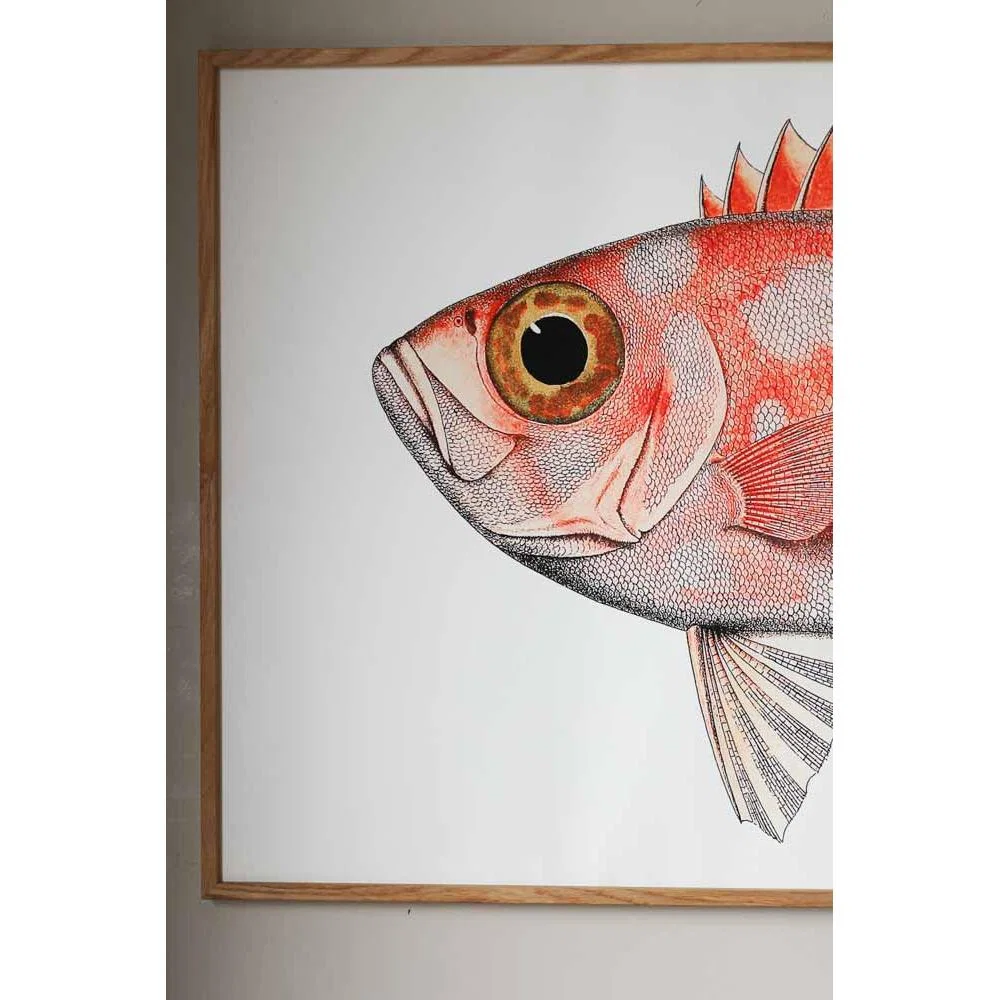 Oak Framed Spotted Orange Half Fish Head & Tail Art Prints - DISCONTINUED – image 4