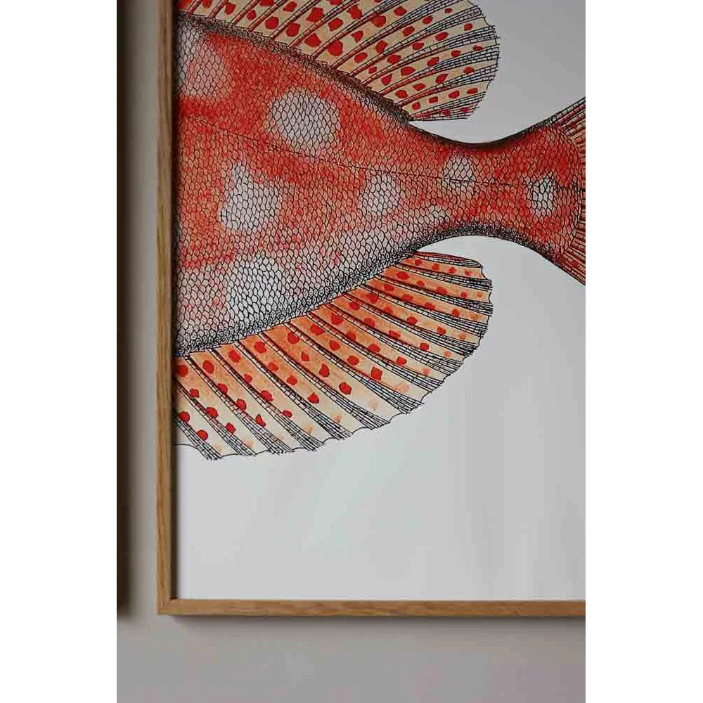 Oak Framed Spotted Orange Half Fish Head & Tail Art Prints - DISCONTINUED – image 5
