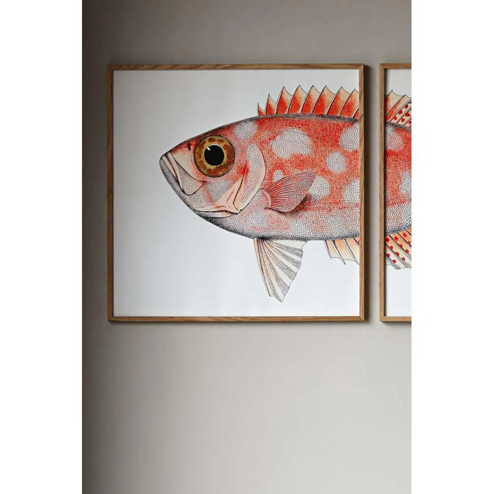 Oak Framed Spotted Orange Half Fish Head & Tail Art Prints - DISCONTINUED – image 8