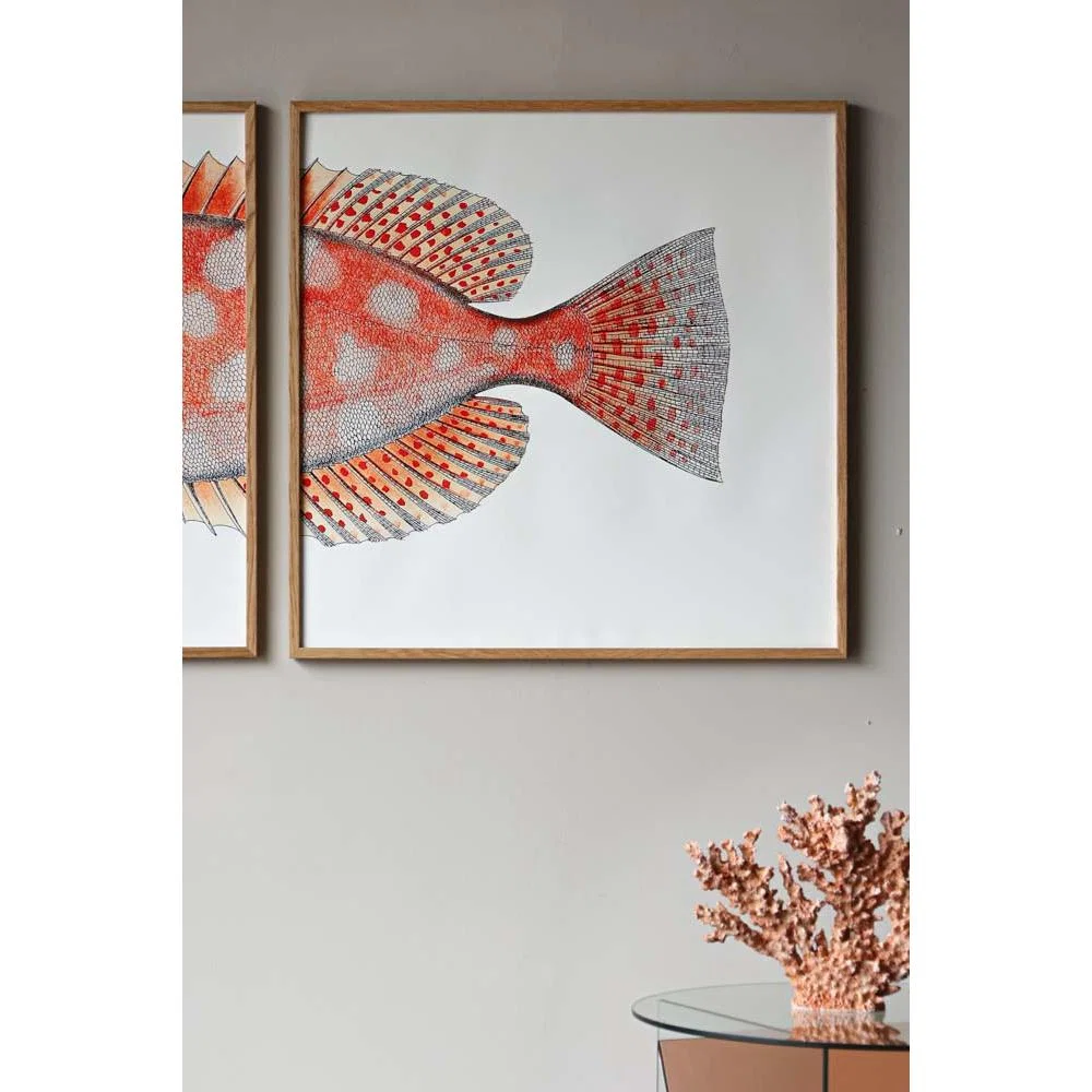 Oak Framed Spotted Orange Half Fish Head & Tail Art Prints - DISCONTINUED – image 9