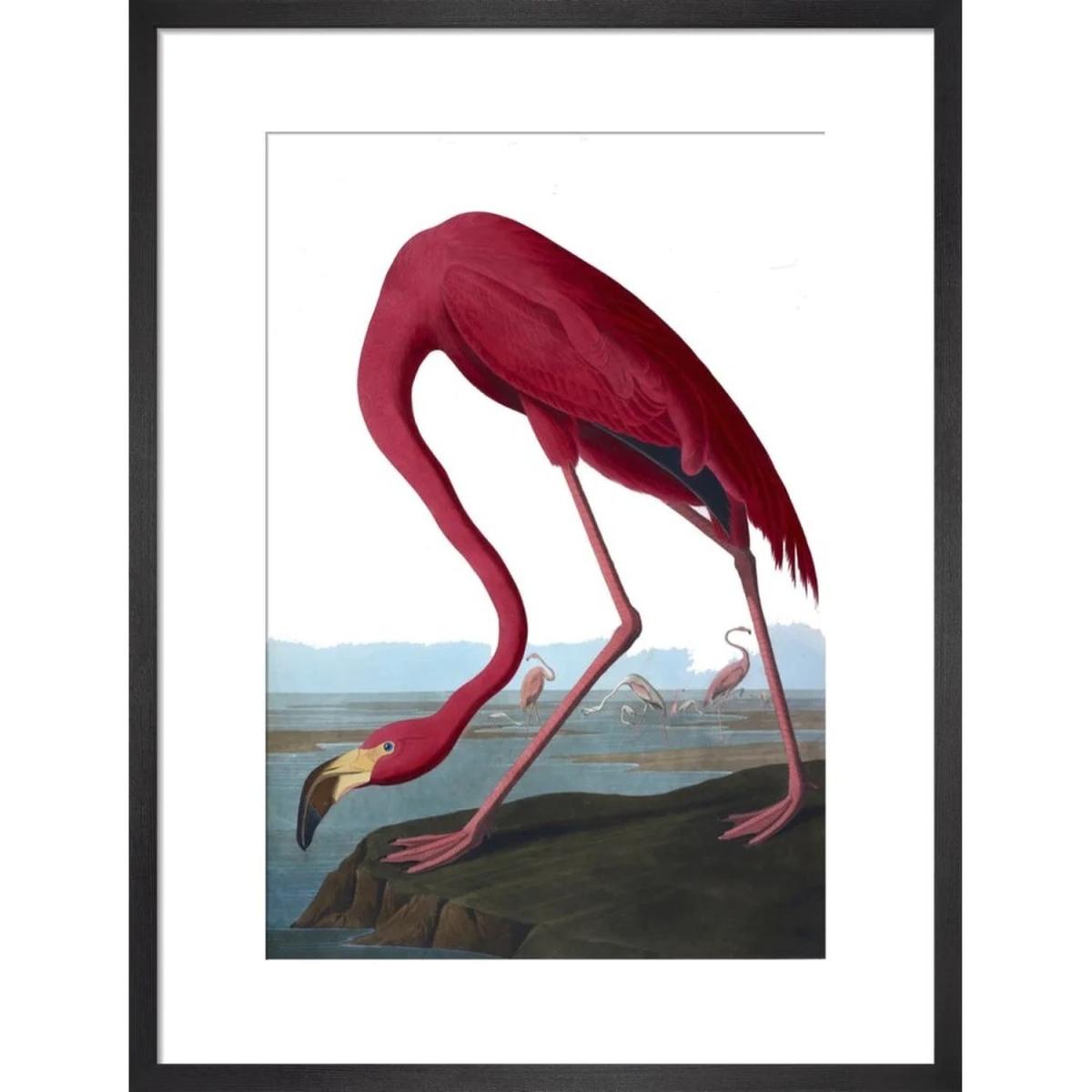 Flamingo Print - Wall Art Print / A2 / Flamingo – image 2