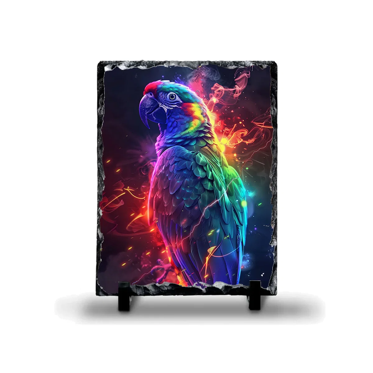 Neon Parrot Photo Rock Slate - Slate