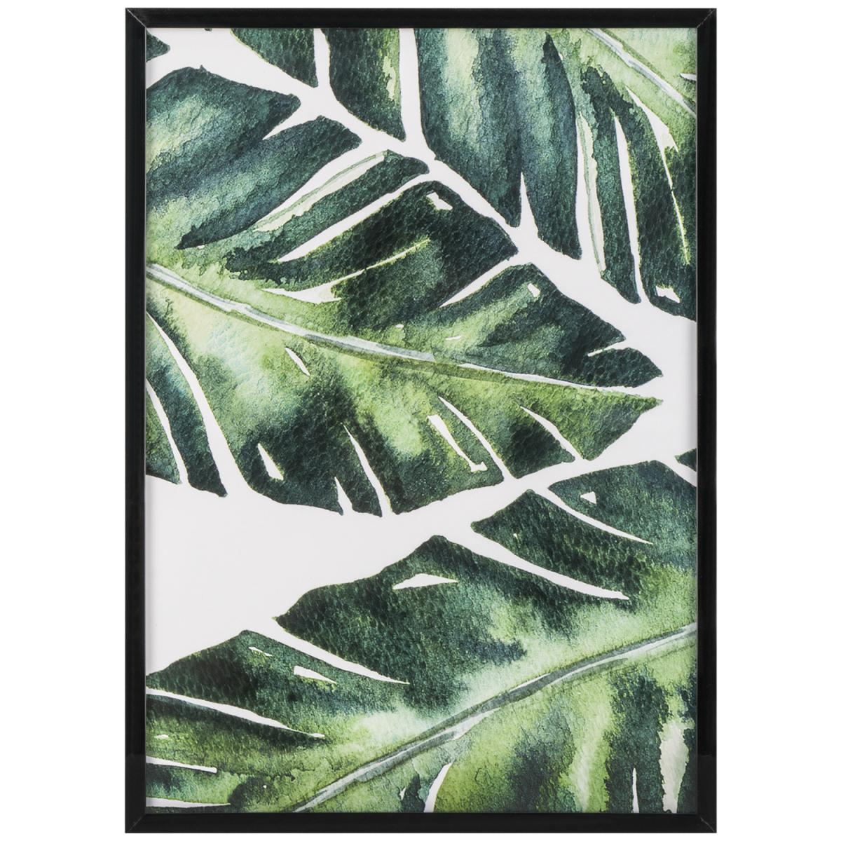 Set of 5 Botanical Framed A4 Prints – image 5