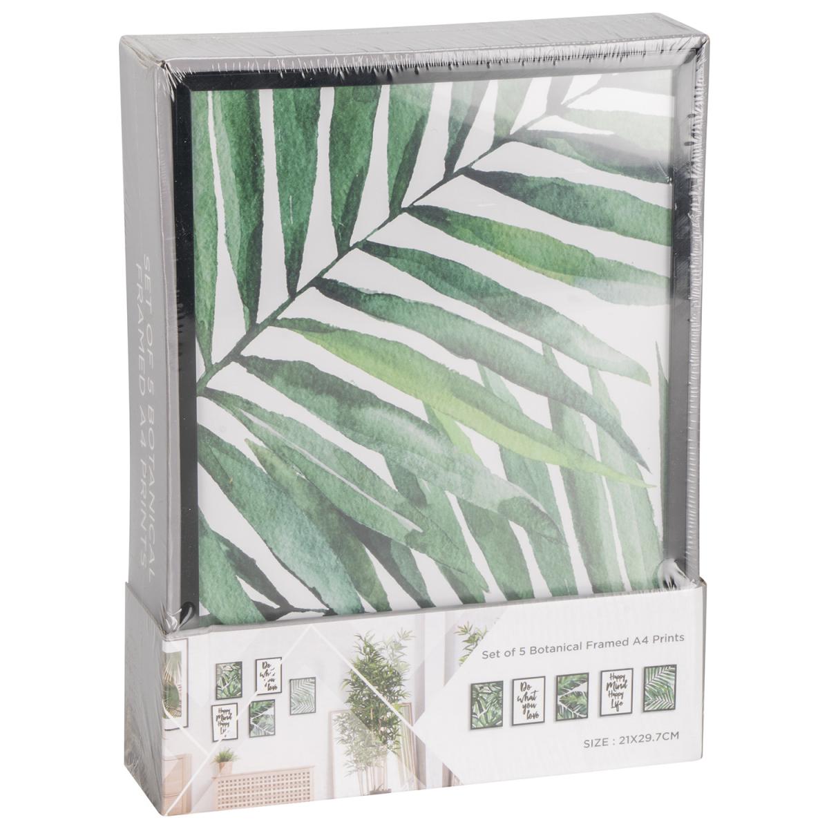 Set of 5 Botanical Framed A4 Prints – image 8