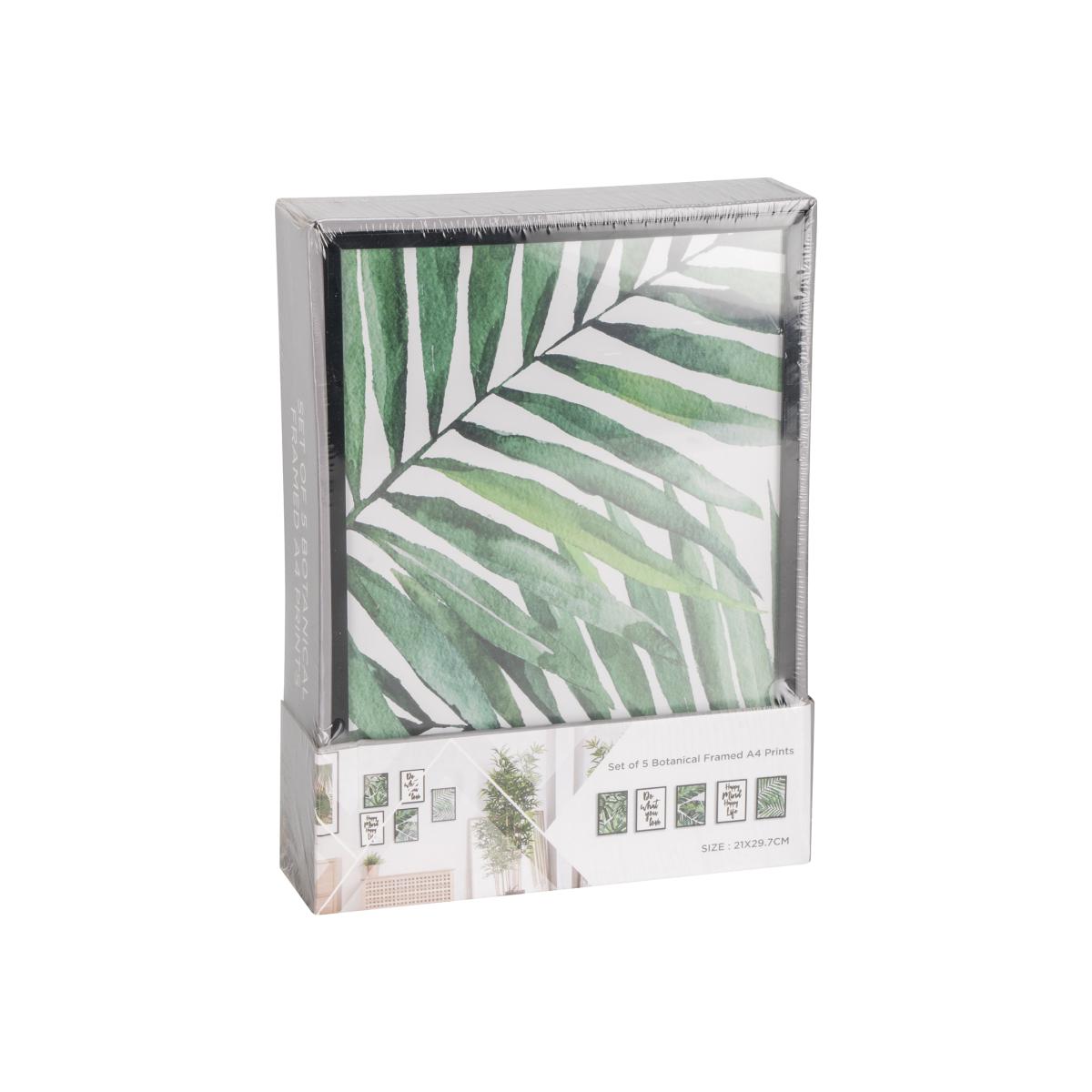 Set of 5 Botanical Framed A4 Prints – image 1