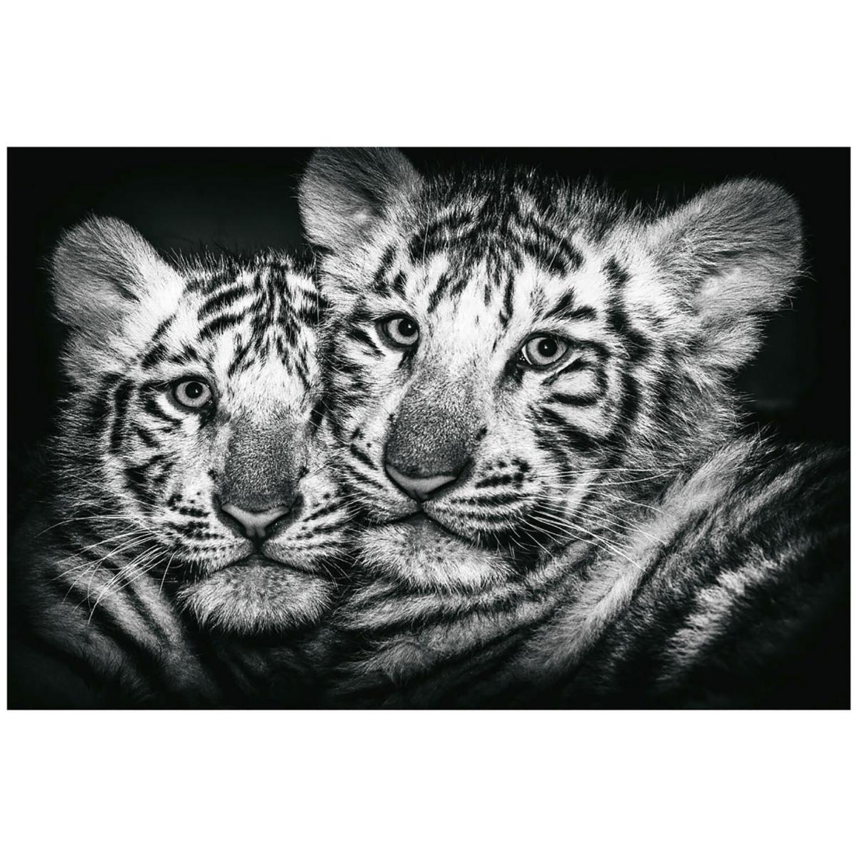 Monochrome Tiger Duo Canvas 120X80cm – image 2