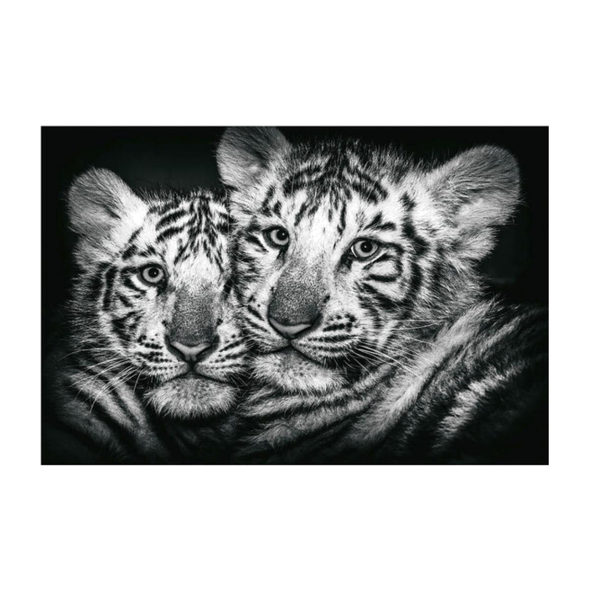 Monochrome Tiger Duo Canvas 120X80cm – image 1