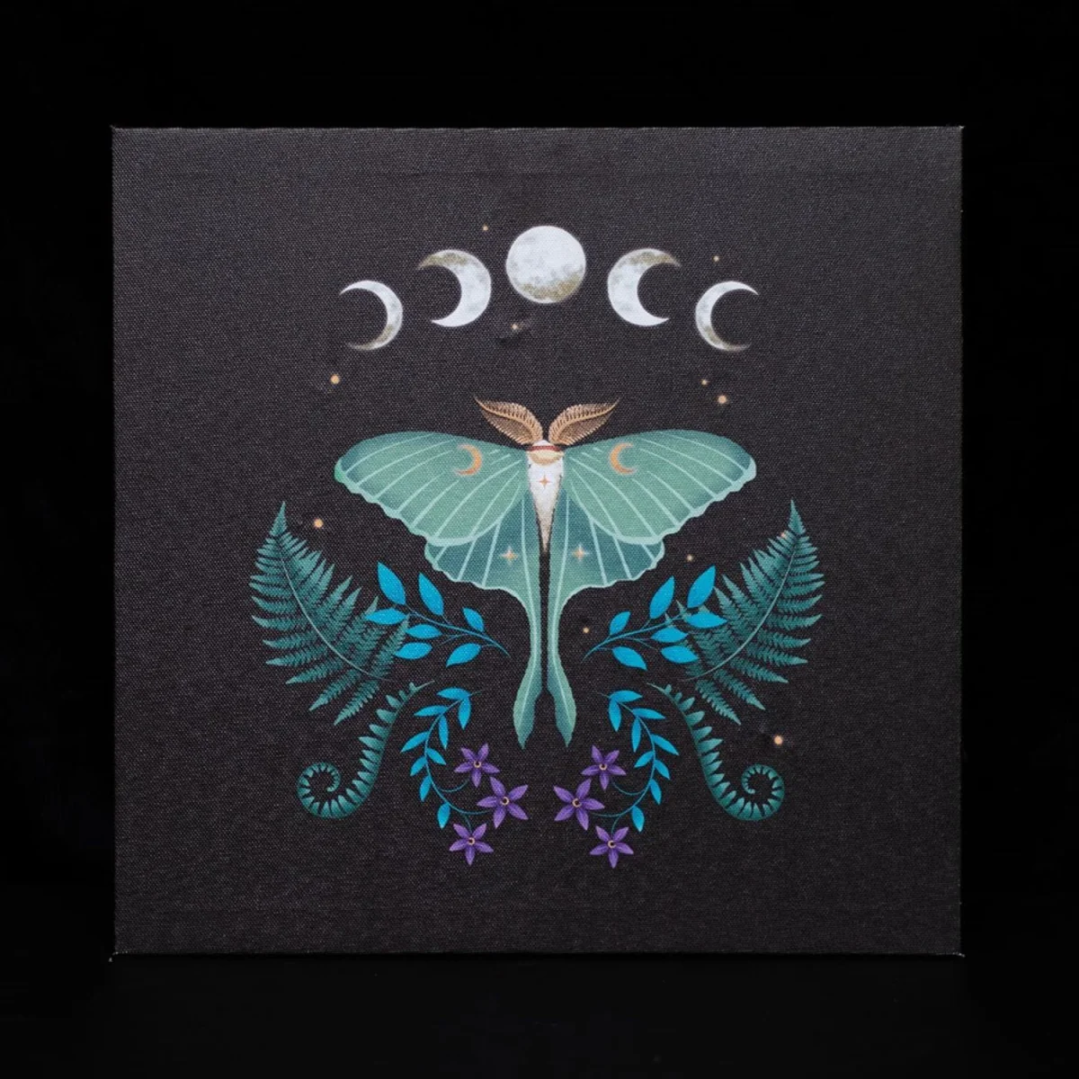 Something Different Canvas Luna Moth Light Up Canvas - Black/Blue/White – image 2