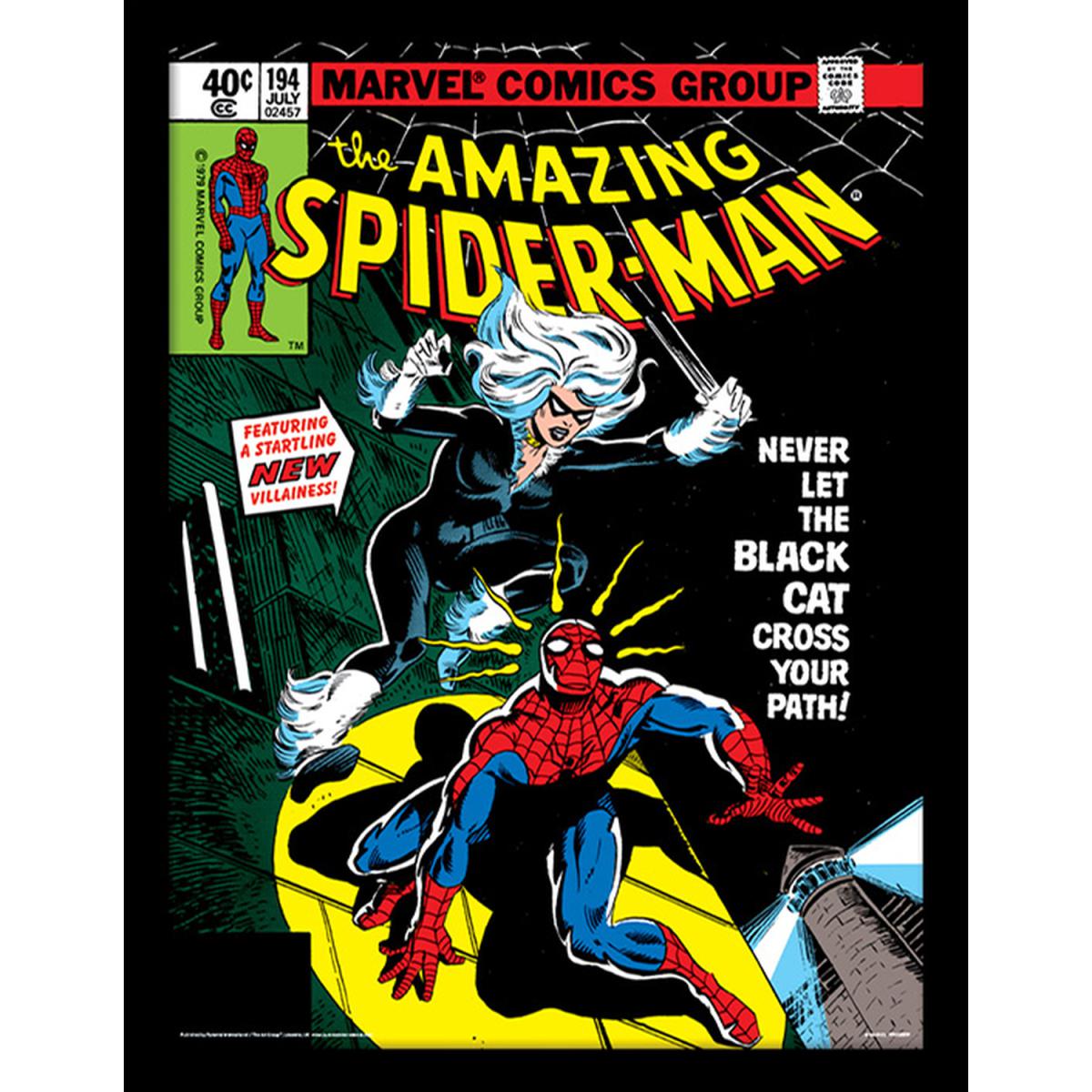 Spider-Man (Black Cat) Framed Print – image 2