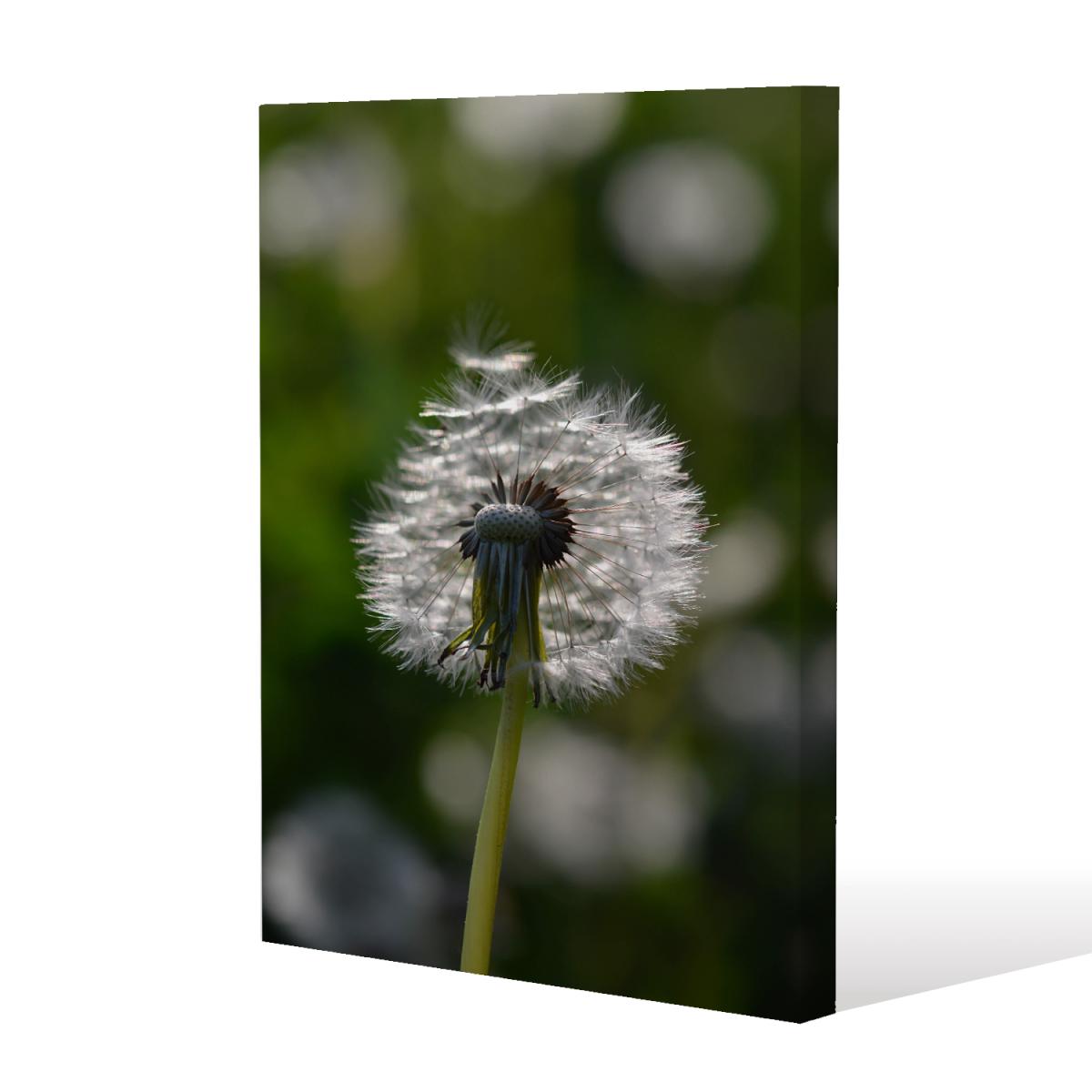 fluffy flower Canvas Print - Green / 127cm / 101cm – image 2