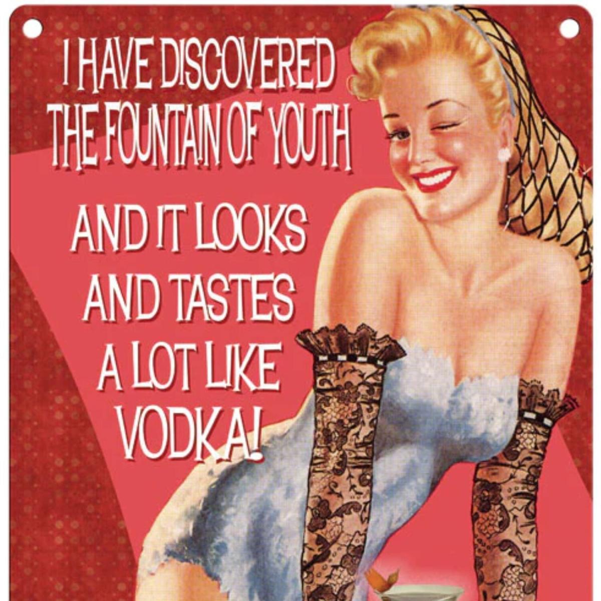 Small Metal Sign Funny Fountain of Youth - Red – image 1