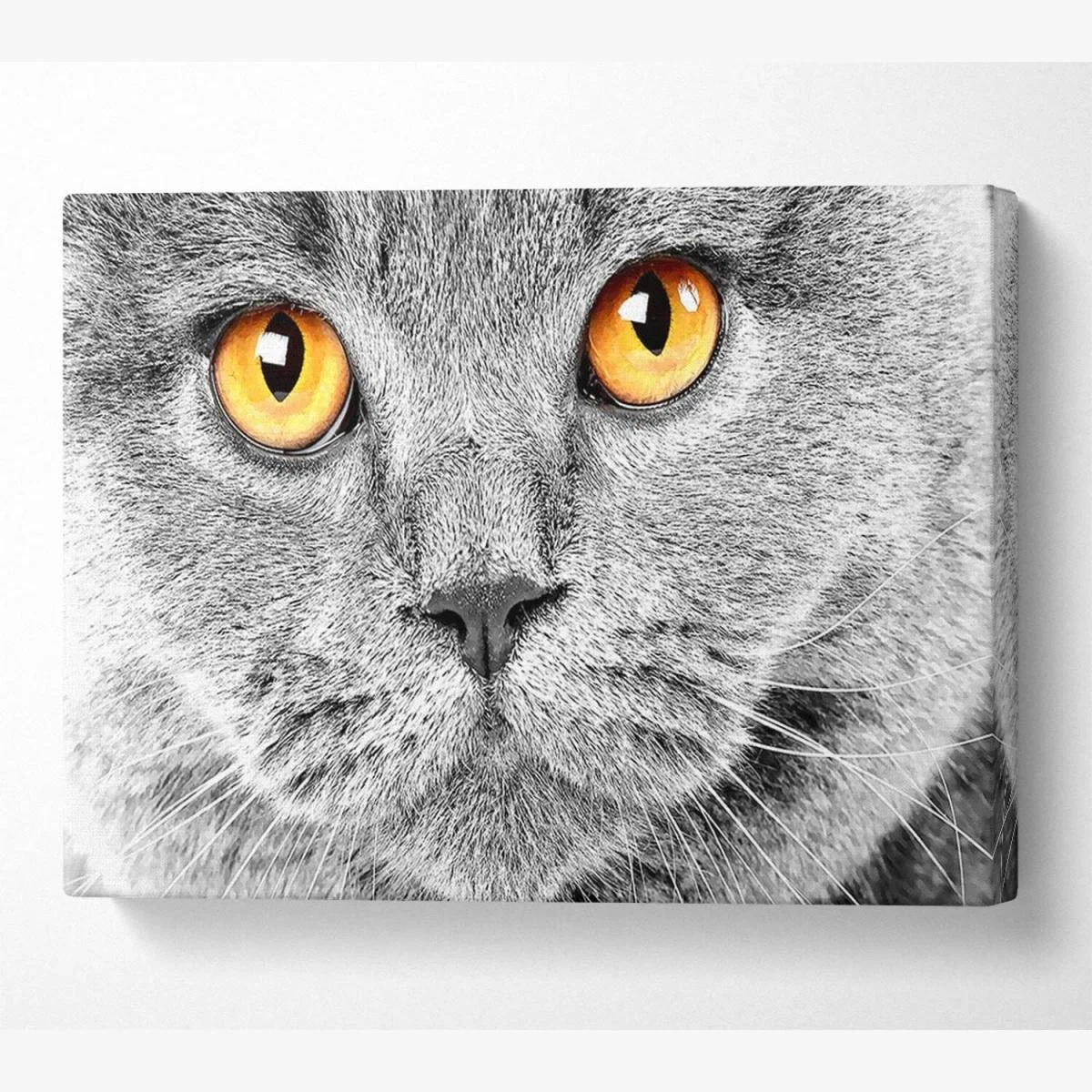 Serious Grey Cat - 50.8cm – image 1