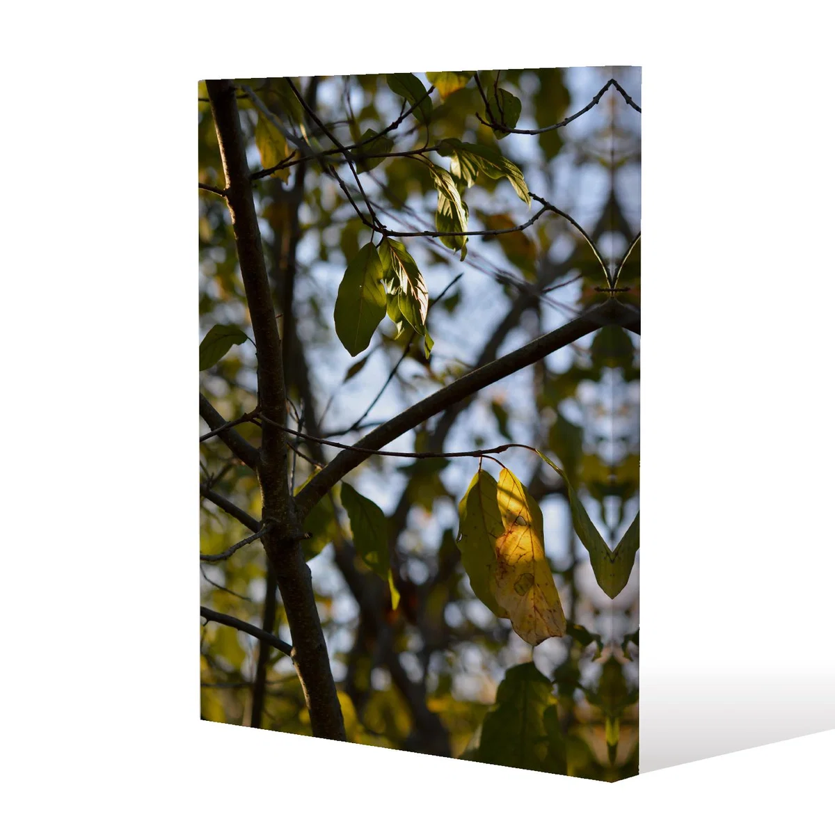 leaves and branches Canvas Print - Green / 101cm / 77cm – image 2