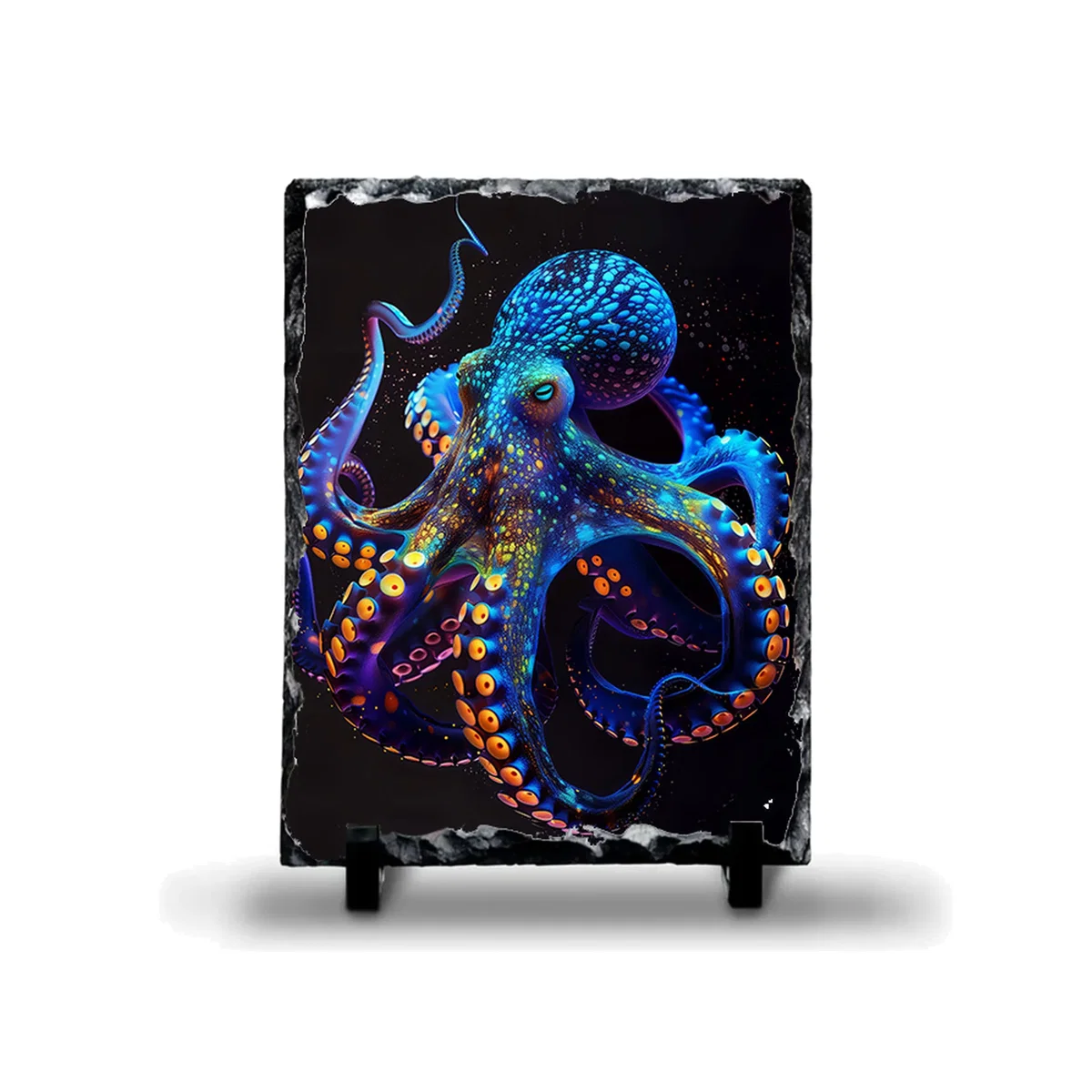 Octopus Photo Rock Slate - Slate