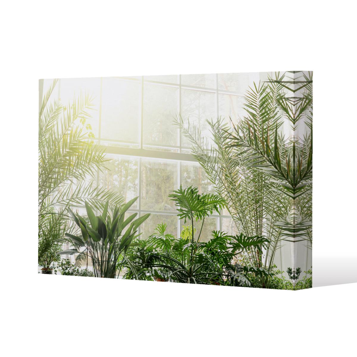 Green plants in botanical gardens Canvas Print - Green / 46cm / 31cm – image 2