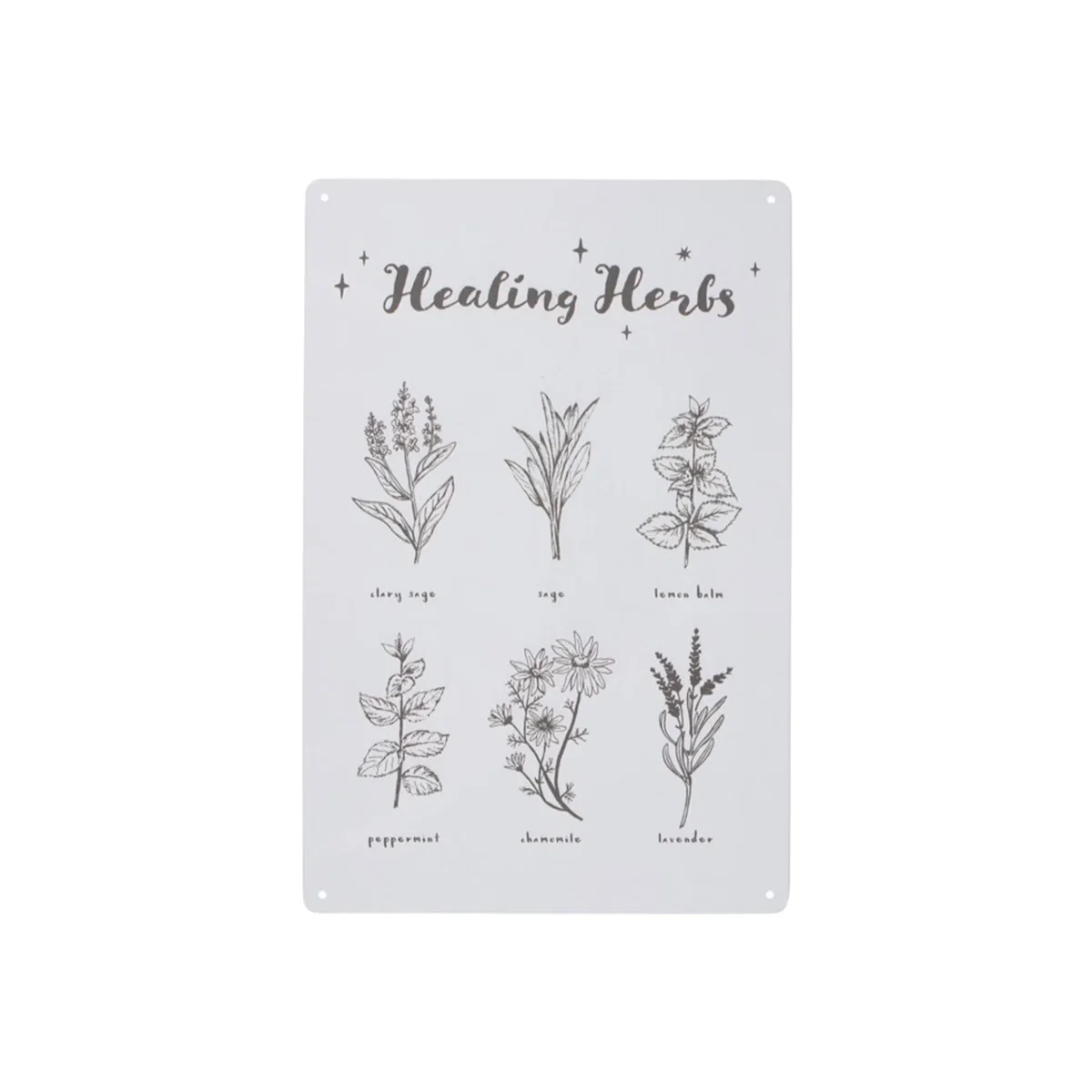Healing Herbs Metal Sign UK Herb Illustrations Decorative Wall Art - White