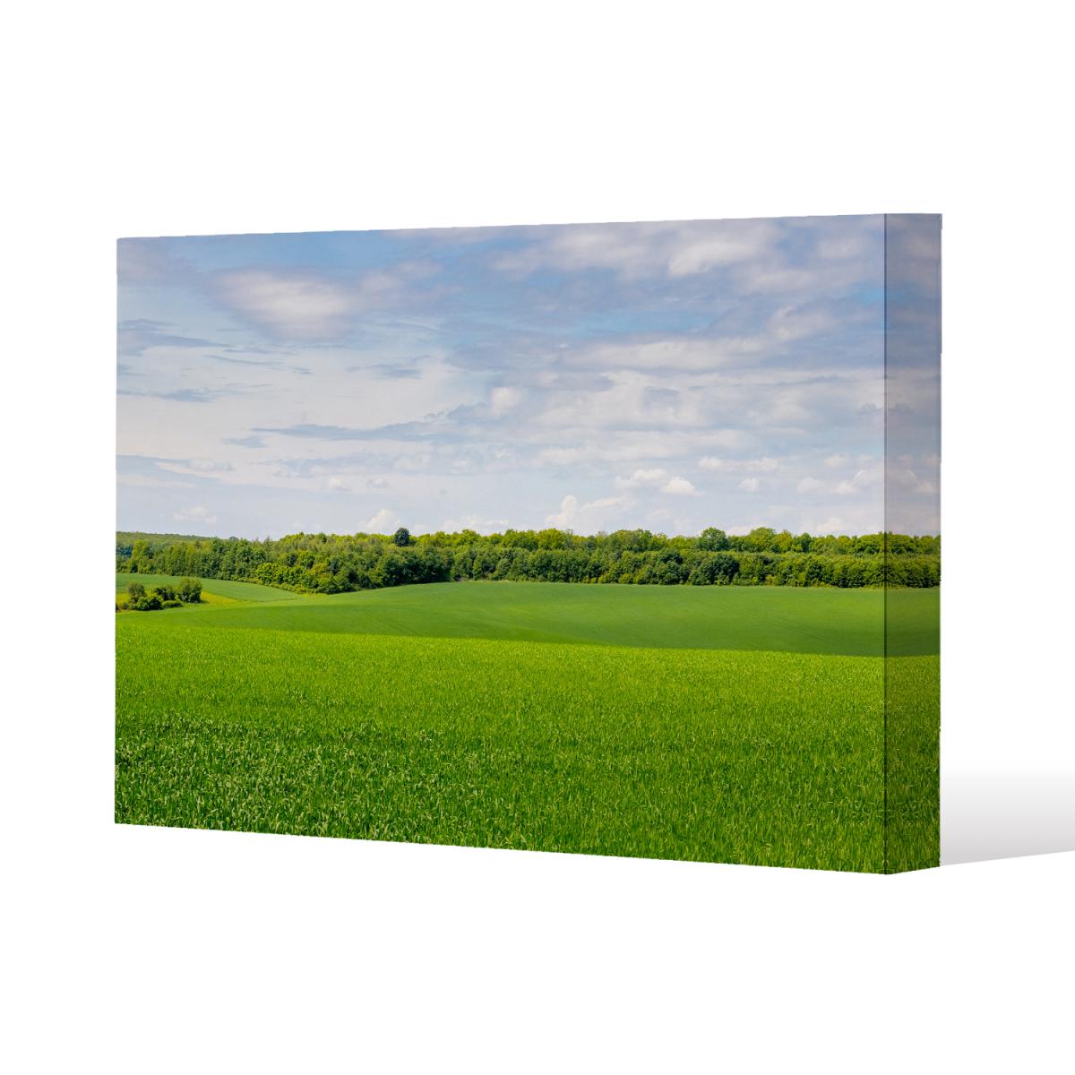Summer landscape with hilly green field and forest in the distance Canvas Print - Green / 46cm / 31cm – image 2