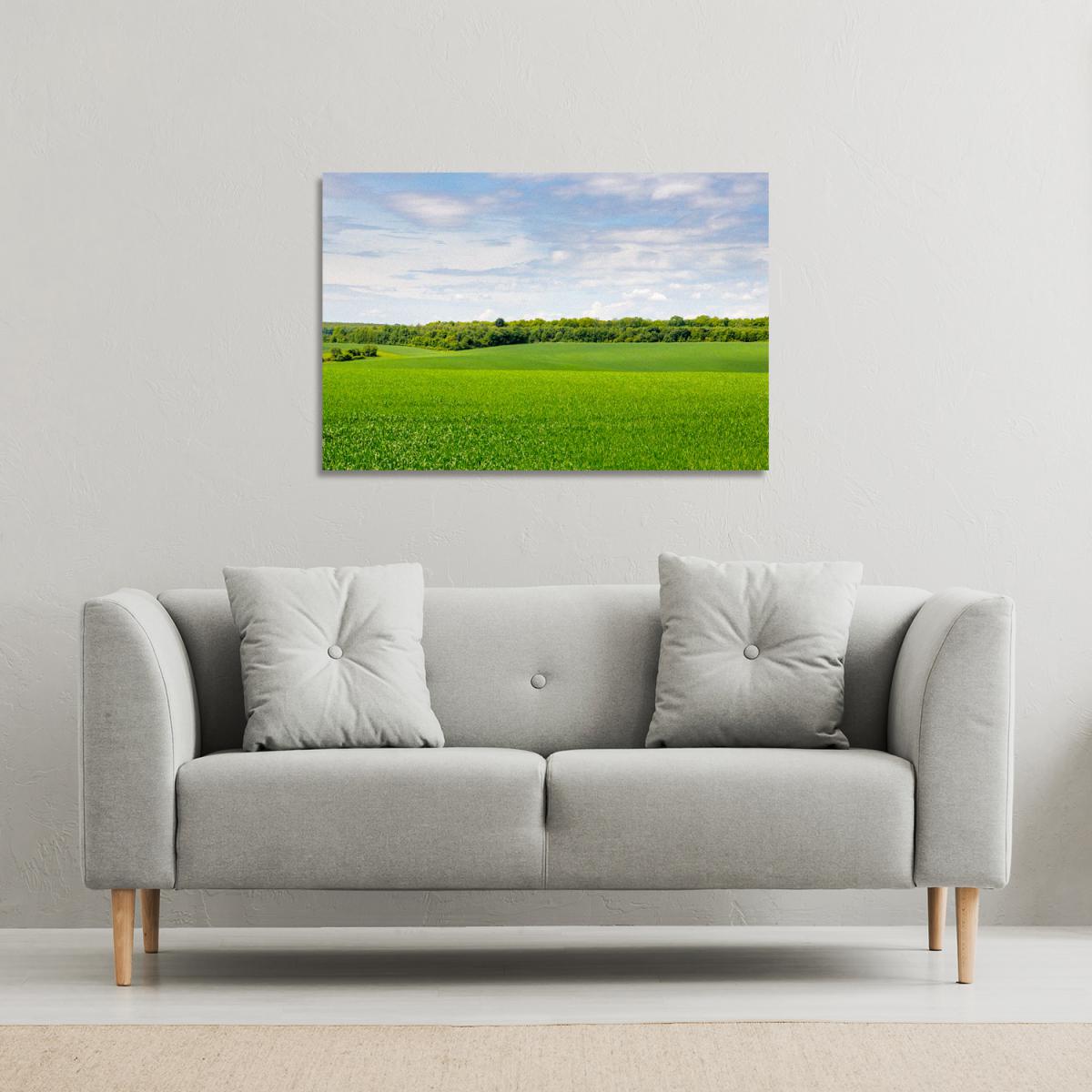 Summer landscape with hilly green field and forest in the distance Canvas Print - Green / 46cm / 31cm – image 1