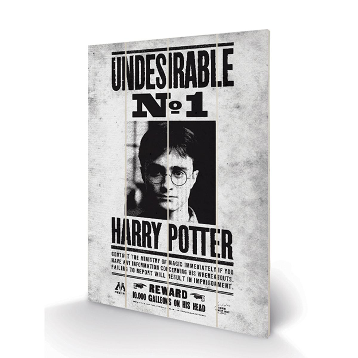 Harry Potter (Undesirable No1) Wall Art – image 2