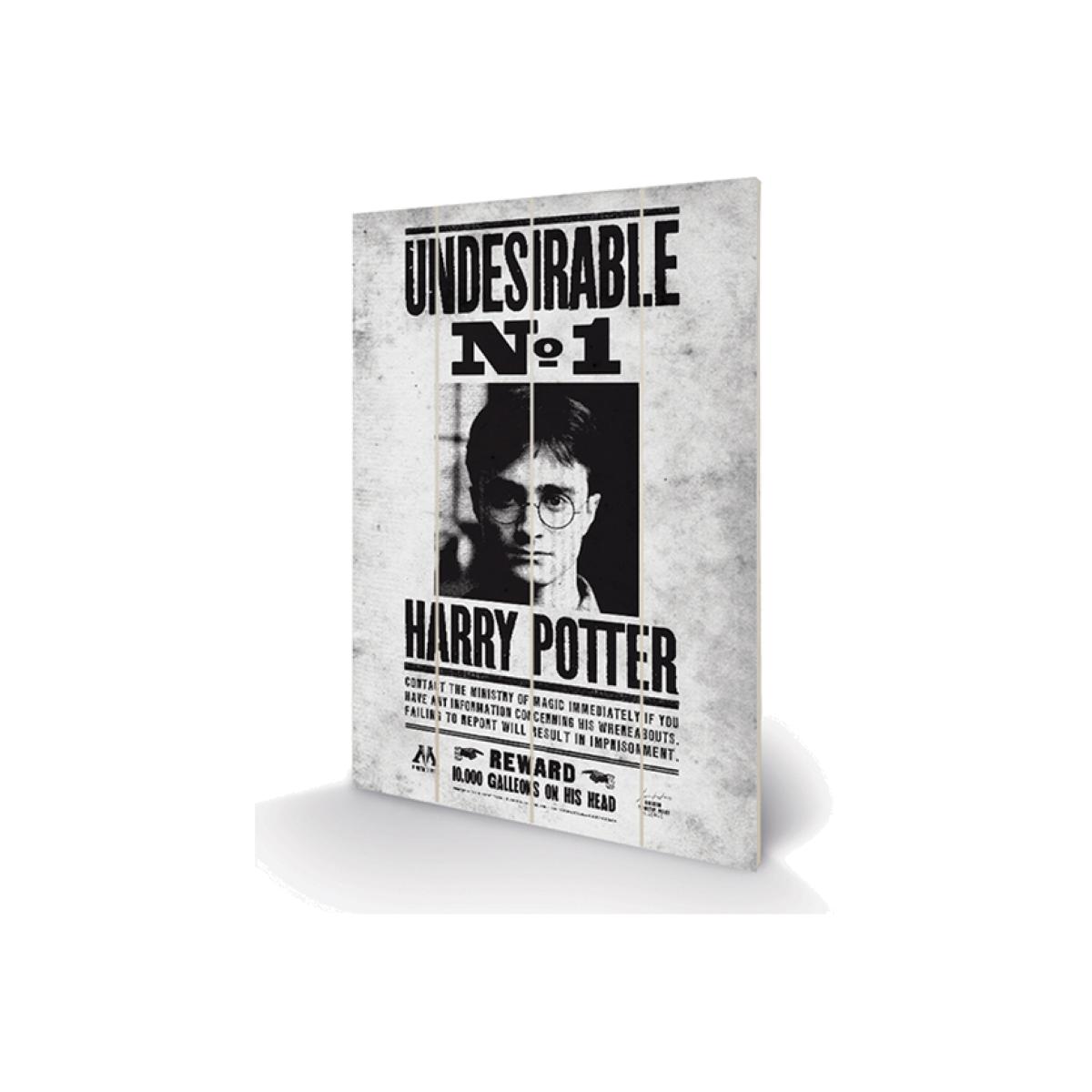 Harry Potter (Undesirable No1) Wall Art – image 1